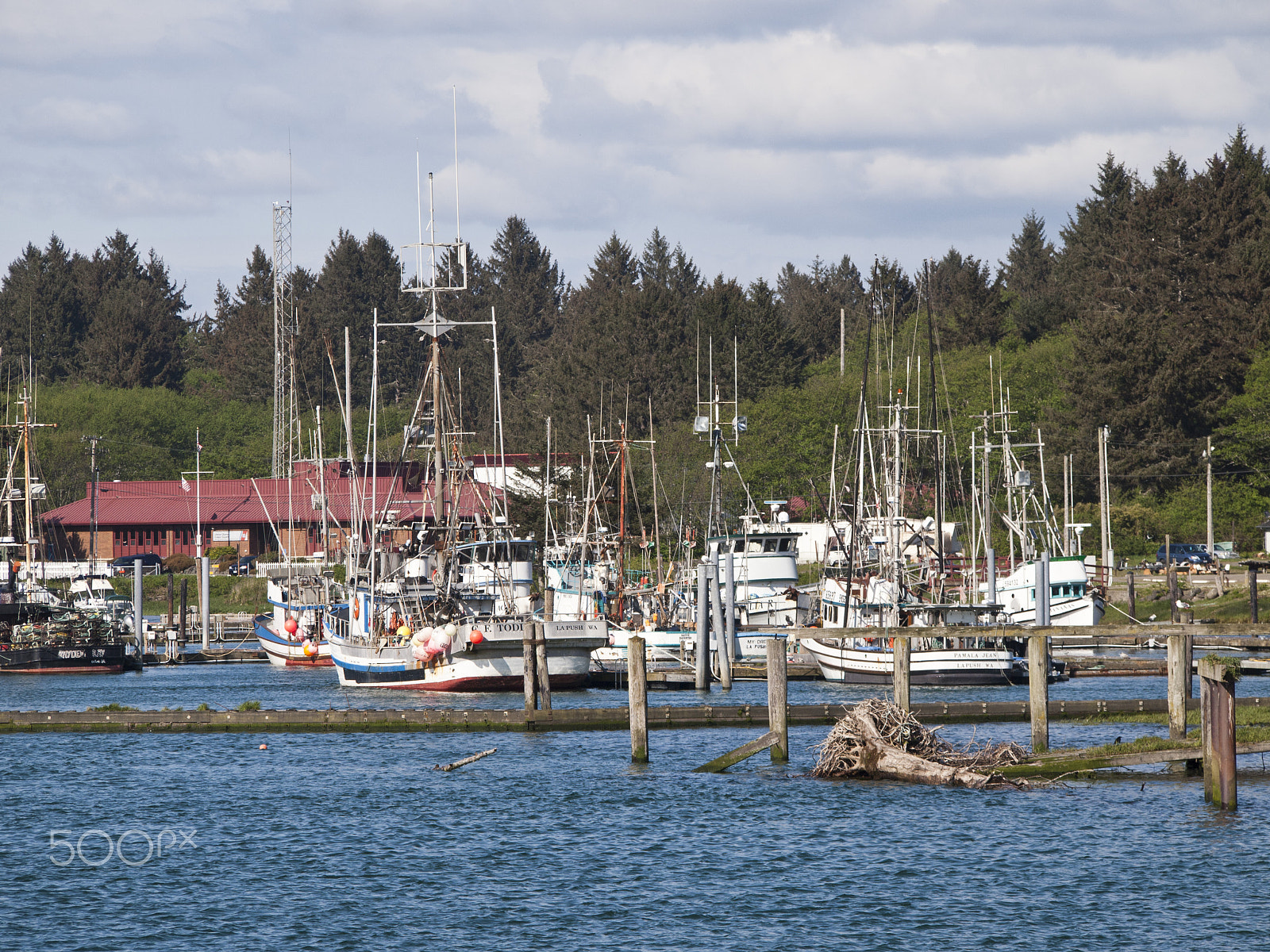 Olympus PEN E-P1 sample photo. Marina at la push, wa photography