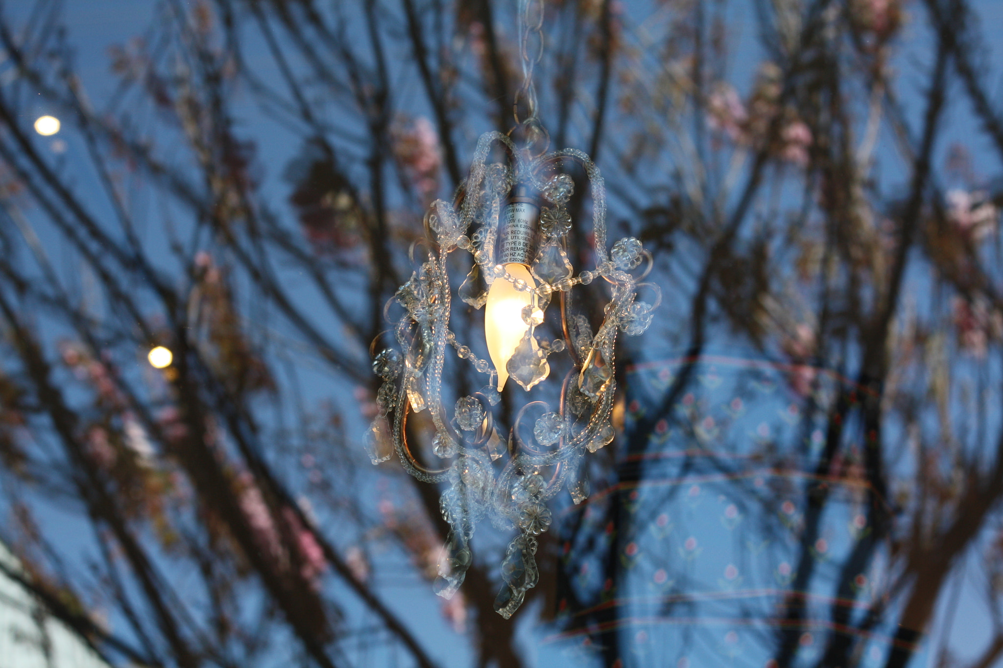 Canon EOS 450D (EOS Rebel XSi / EOS Kiss X2) + Canon EF 50mm F1.8 II sample photo. Chandelier on a tree photography