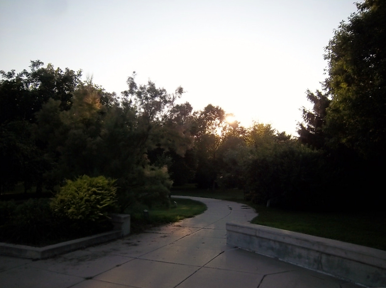 Kodak EasyShare M550 sample photo. Sunset path photography