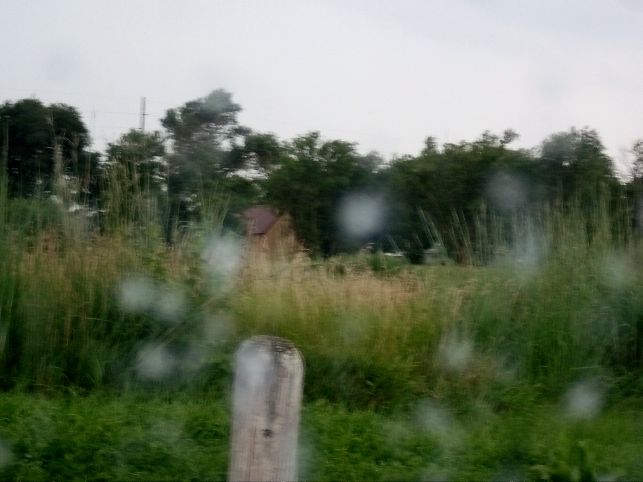 Kodak EasyShare M550 sample photo. 100_2016.jpg photography