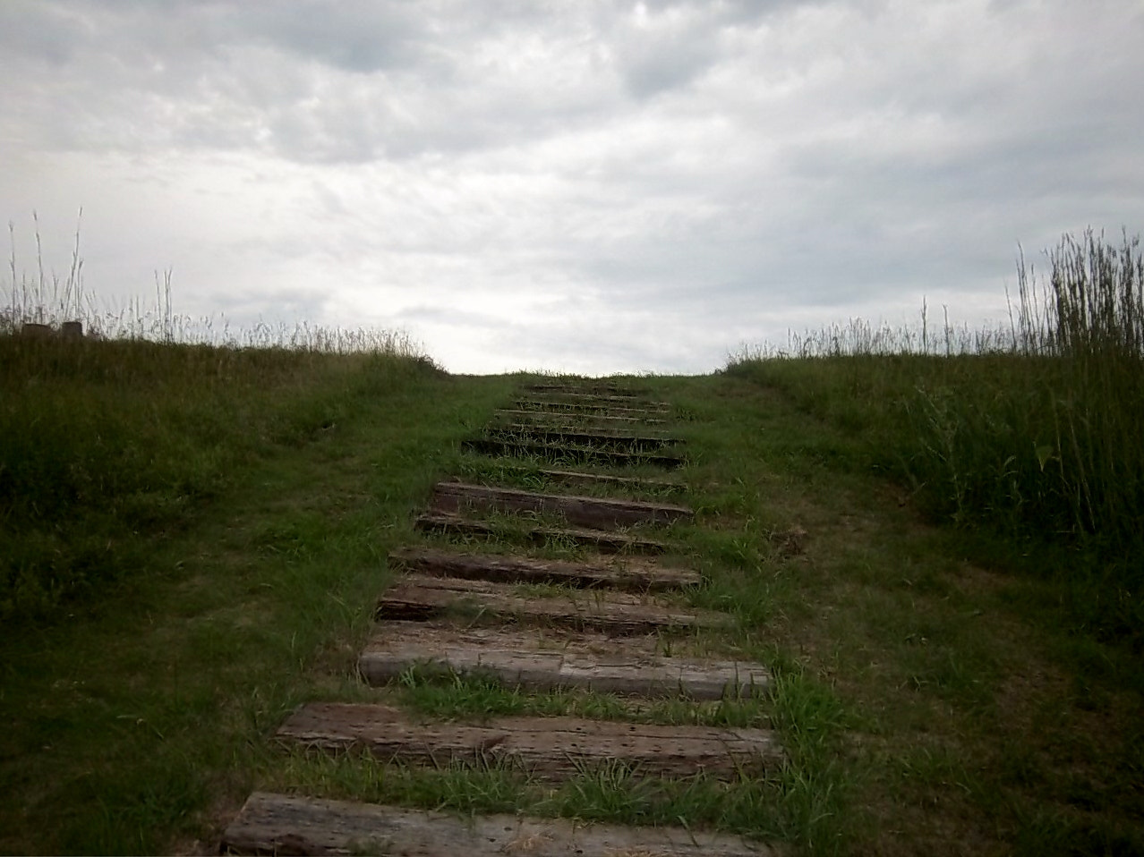 Kodak EasyShare M550 sample photo. Follow the path photography