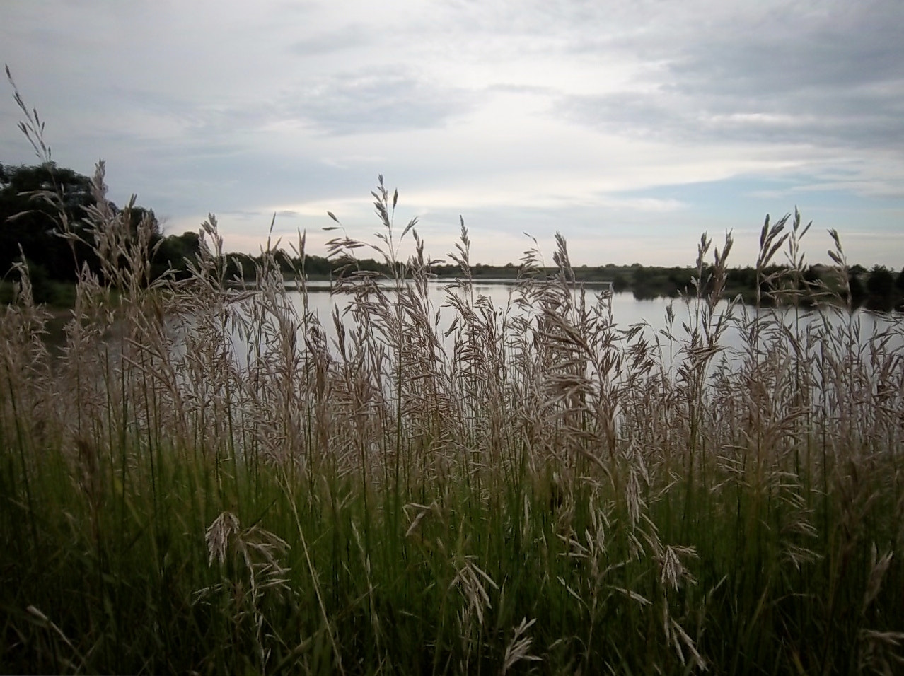 Kodak EasyShare M550 sample photo. Lake view photography