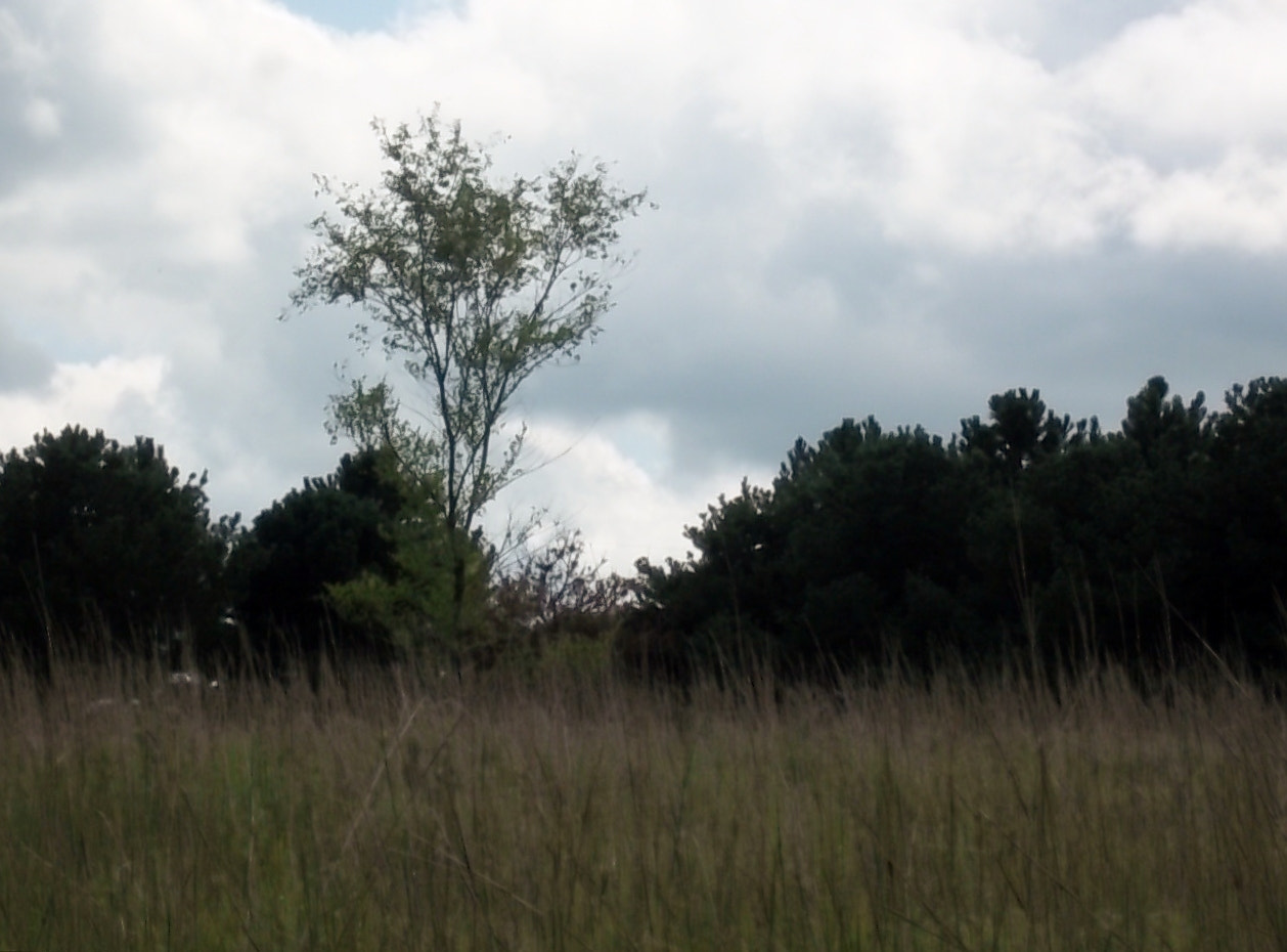 Kodak EasyShare M550 sample photo. 100b2130.jpg photography