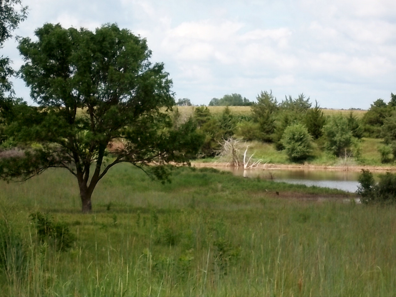 Kodak EasyShare M550 sample photo. () photography