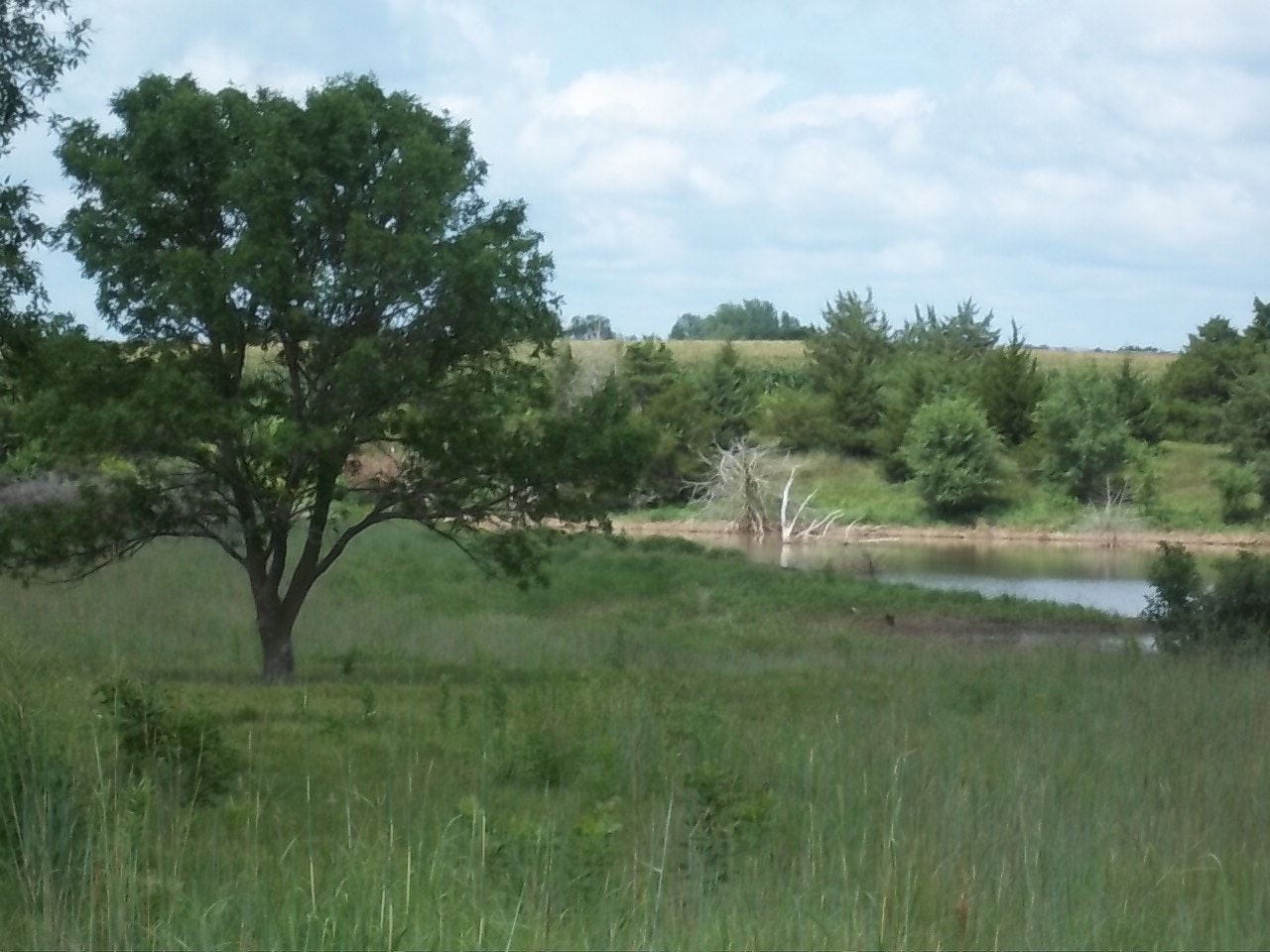 Kodak EasyShare M550 sample photo. 100_2019.jpg photography