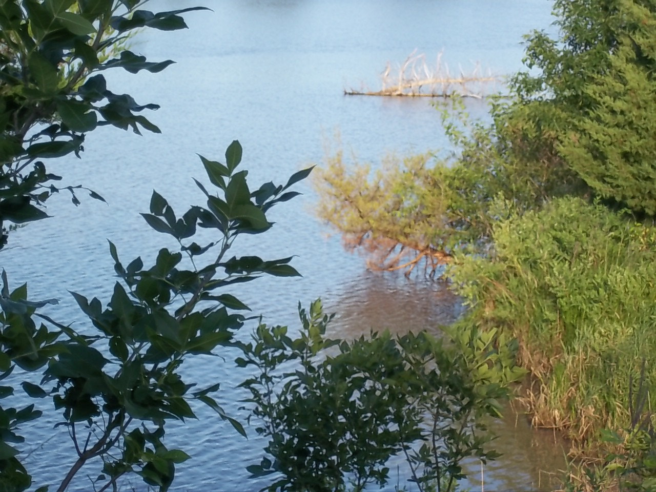 Kodak EasyShare M550 sample photo. Lakes edge photography