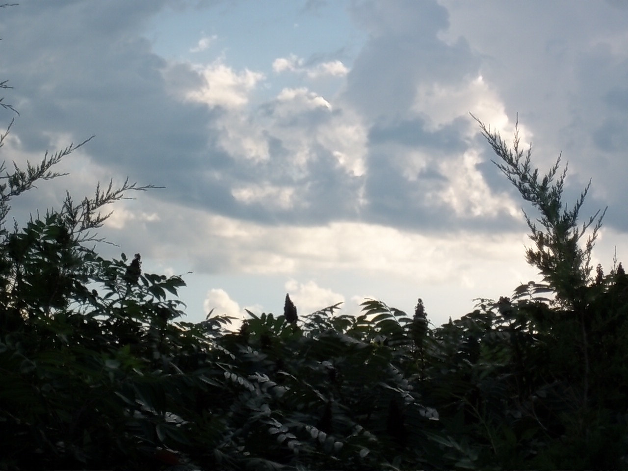 Kodak EasyShare M550 sample photo. Rainy days photography