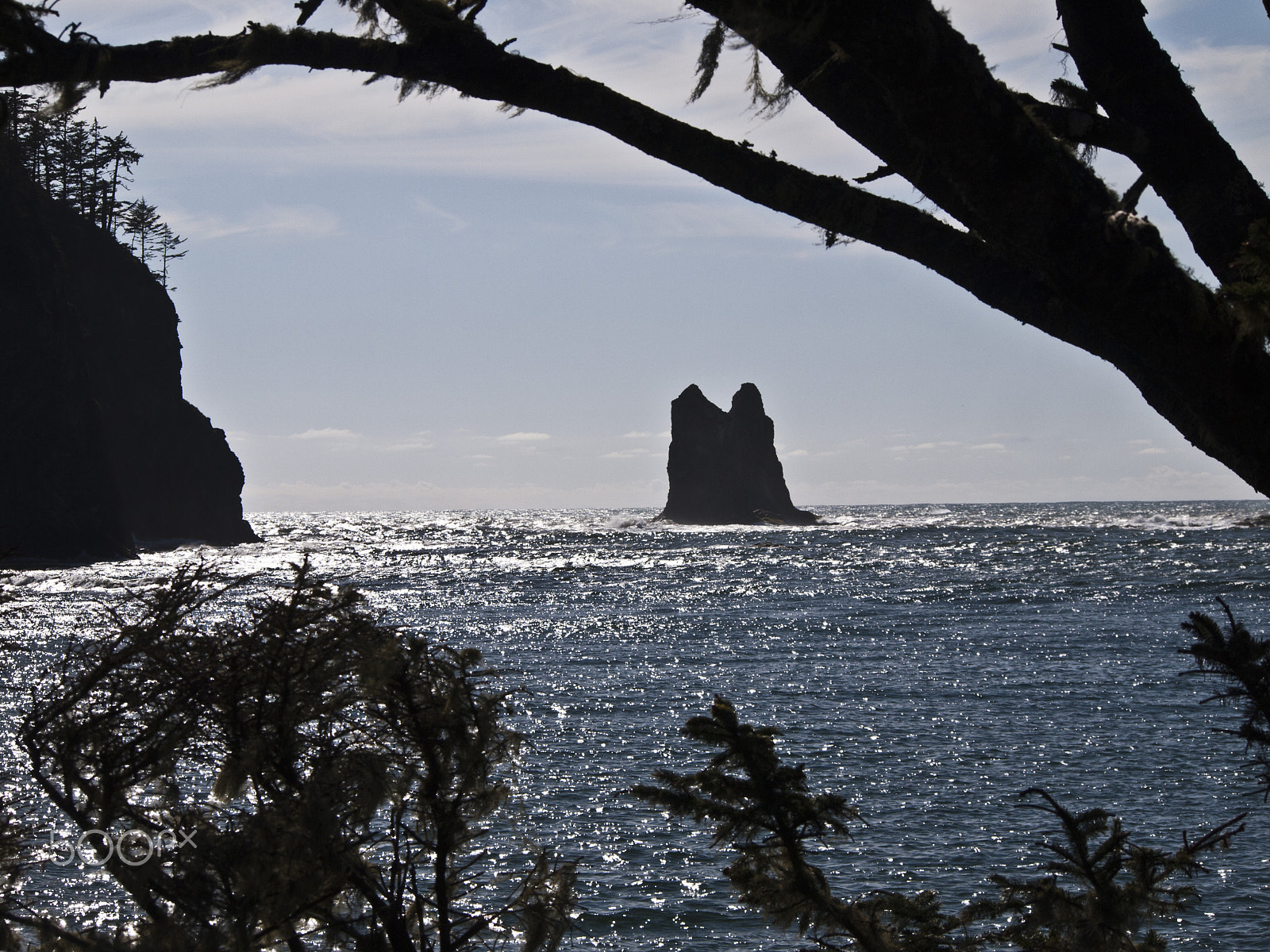 Olympus PEN E-P1 sample photo. Stack at la push photography