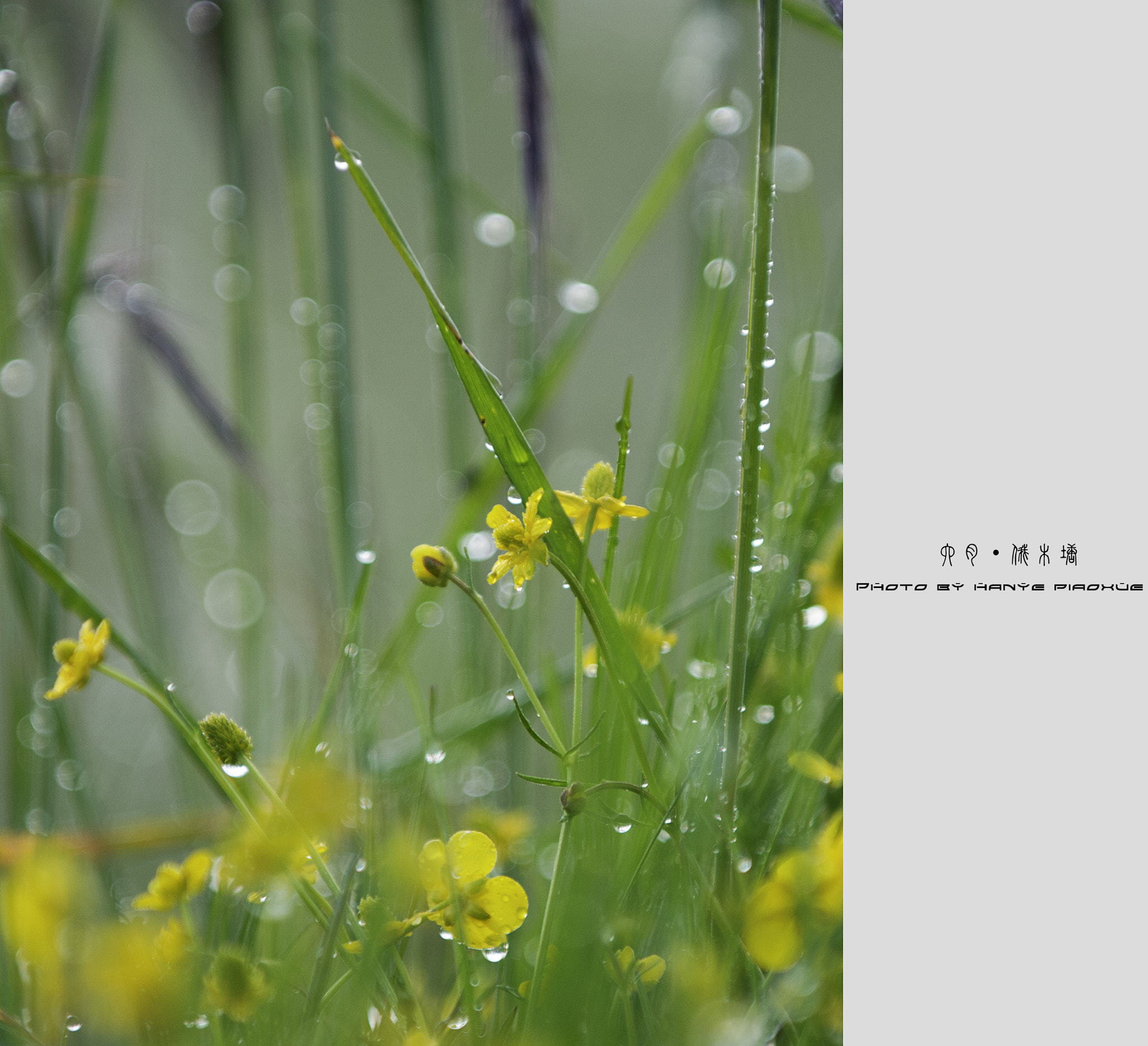 AF-S Zoom-Nikkor 80-200mm f/2.8D IF-ED sample photo