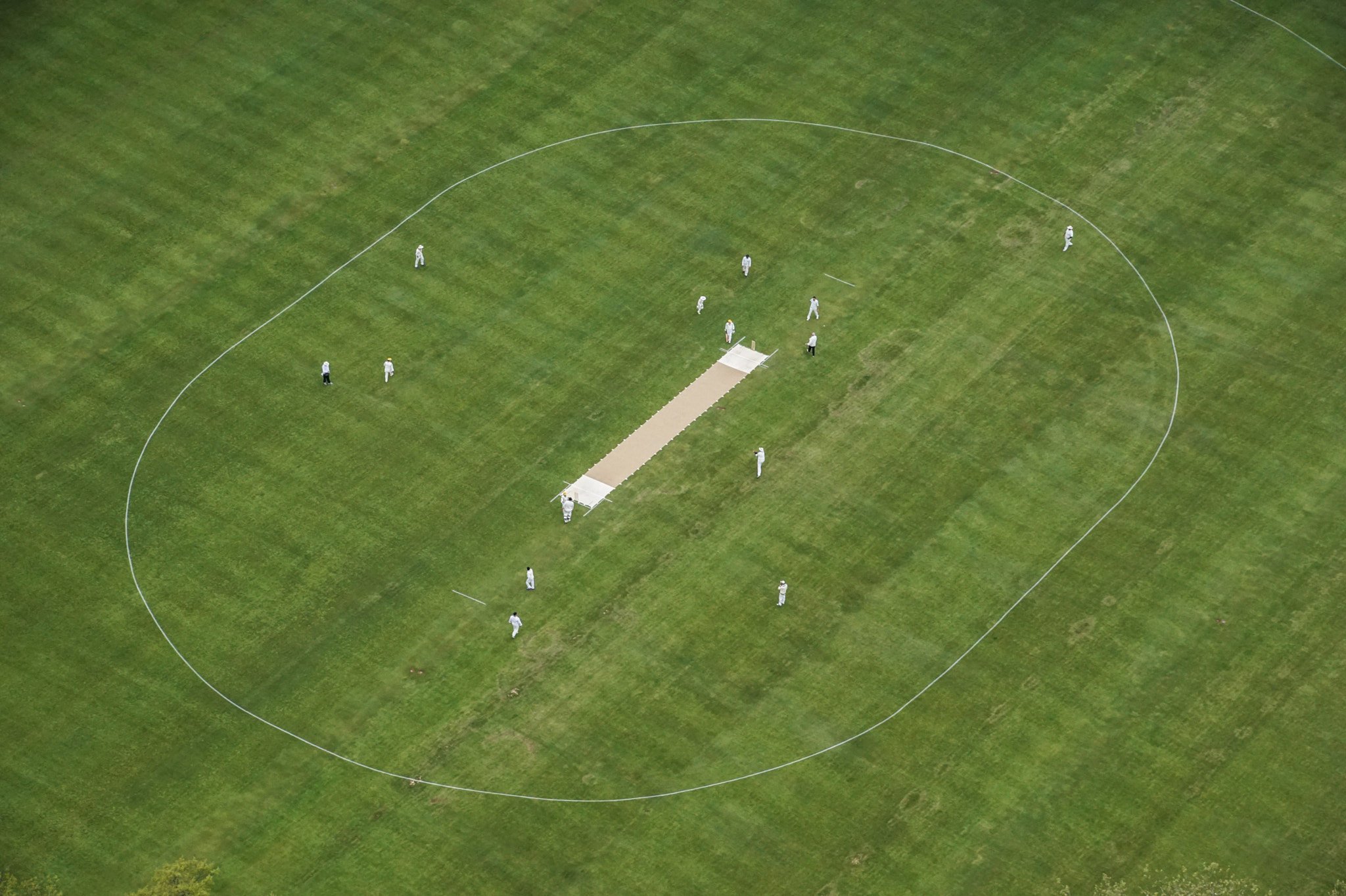 Sony ILCA-77M2 + DT 18-270mm F3.5-6.3 SSM sample photo. Cricket in philadelphia photography