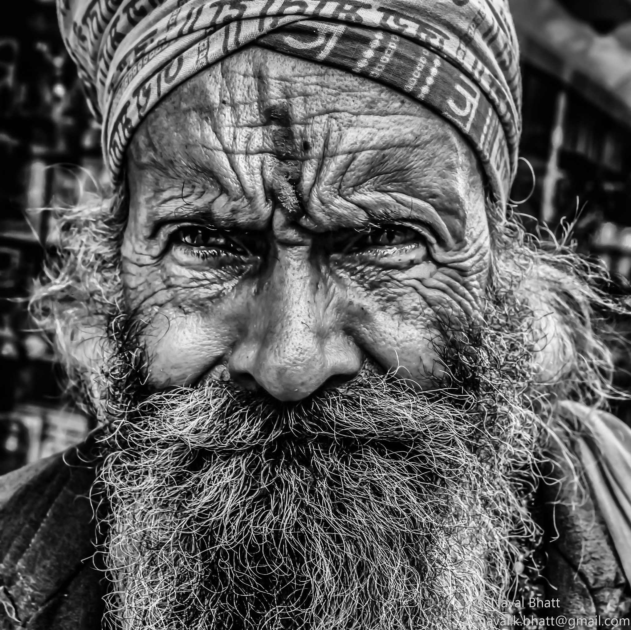 Nikon D200 sample photo. The wandering hermit photography