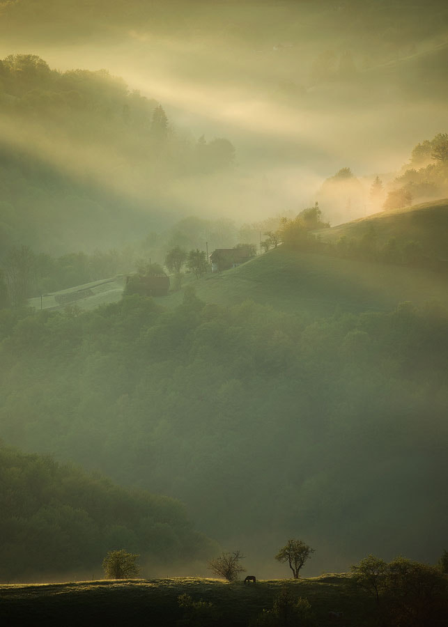 AF Zoom-Nikkor 80-200mm f/2.8 ED sample photo. Pure morning photography