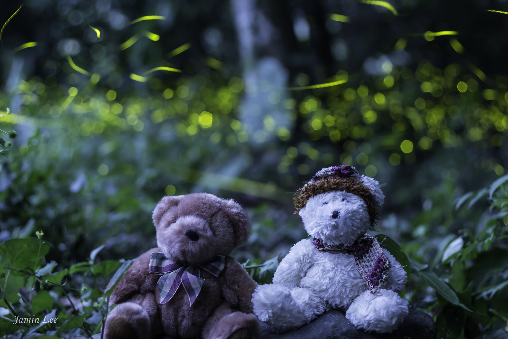 Canon EOS M + Canon EF 50mm F1.8 II sample photo. Firefly photography