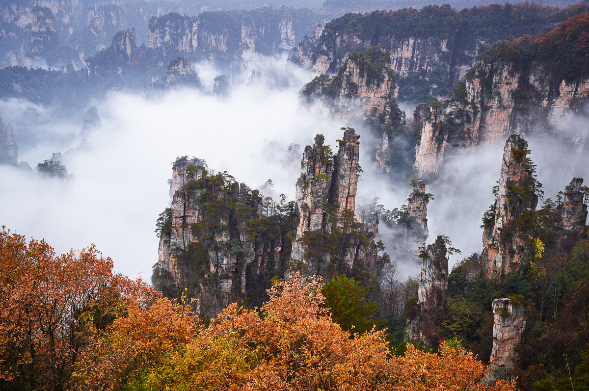 Schneider LS 80mm f/2.8 sample photo. Cf004417.jpg photography