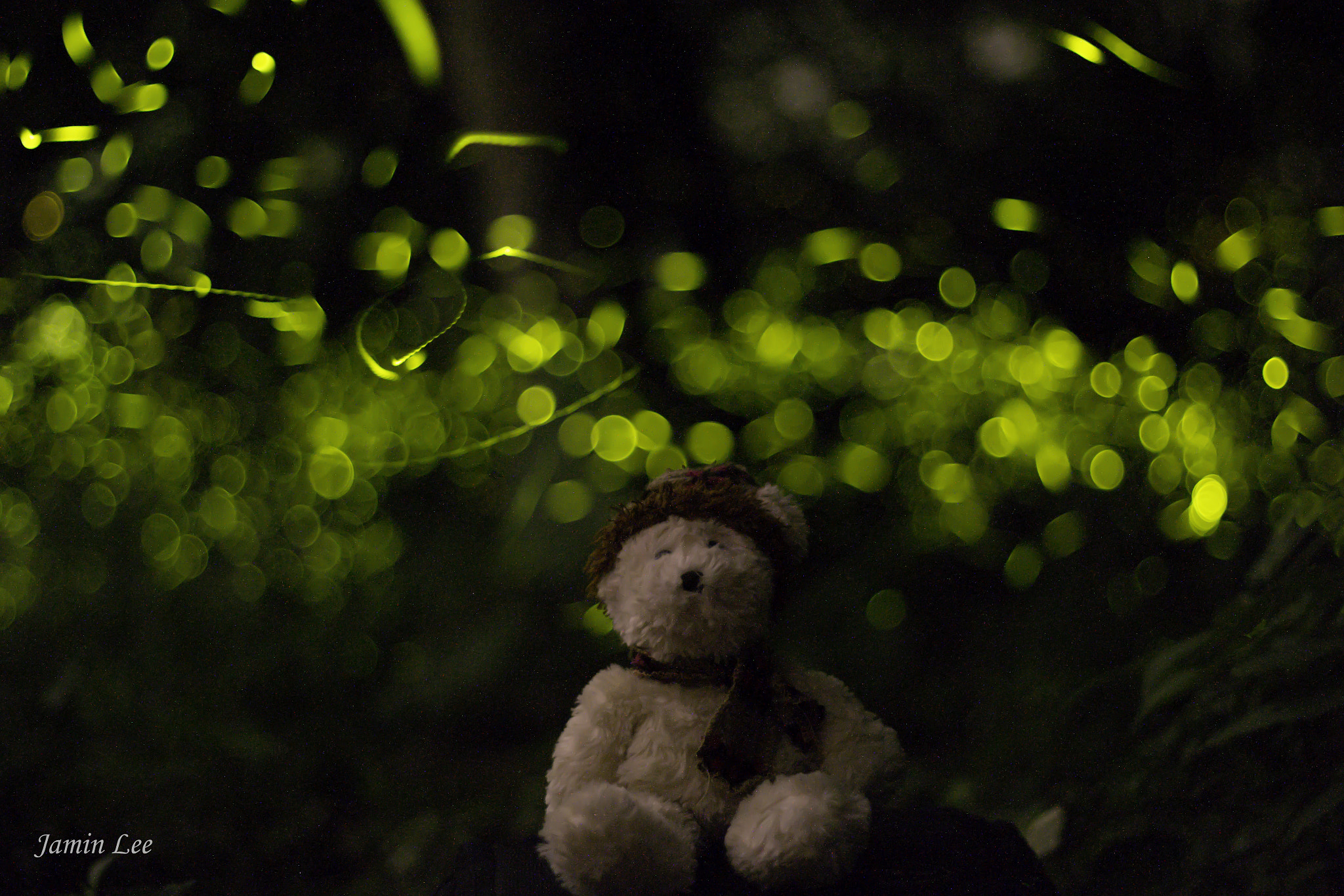 Canon EOS M + Canon EF 50mm F1.8 II sample photo. Firefly photography