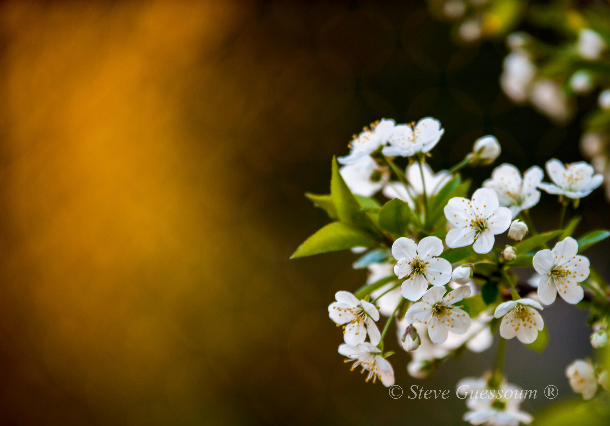 Sigma 70-200mm F2.8 EX DG OS HSM sample photo