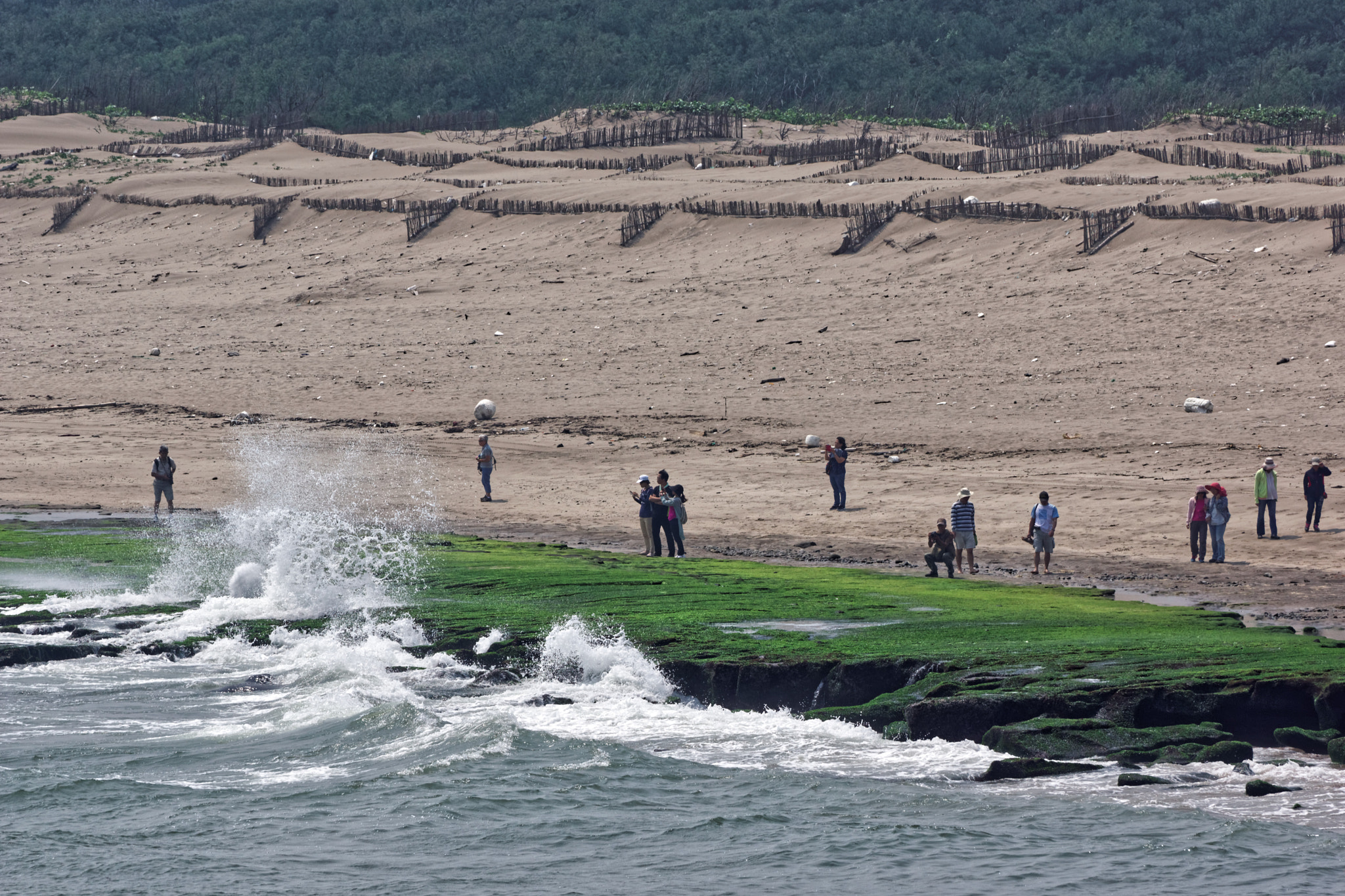 Sony Alpha NEX-7 + Sony FE 70-200mm F4 G OSS sample photo. Seashore photography