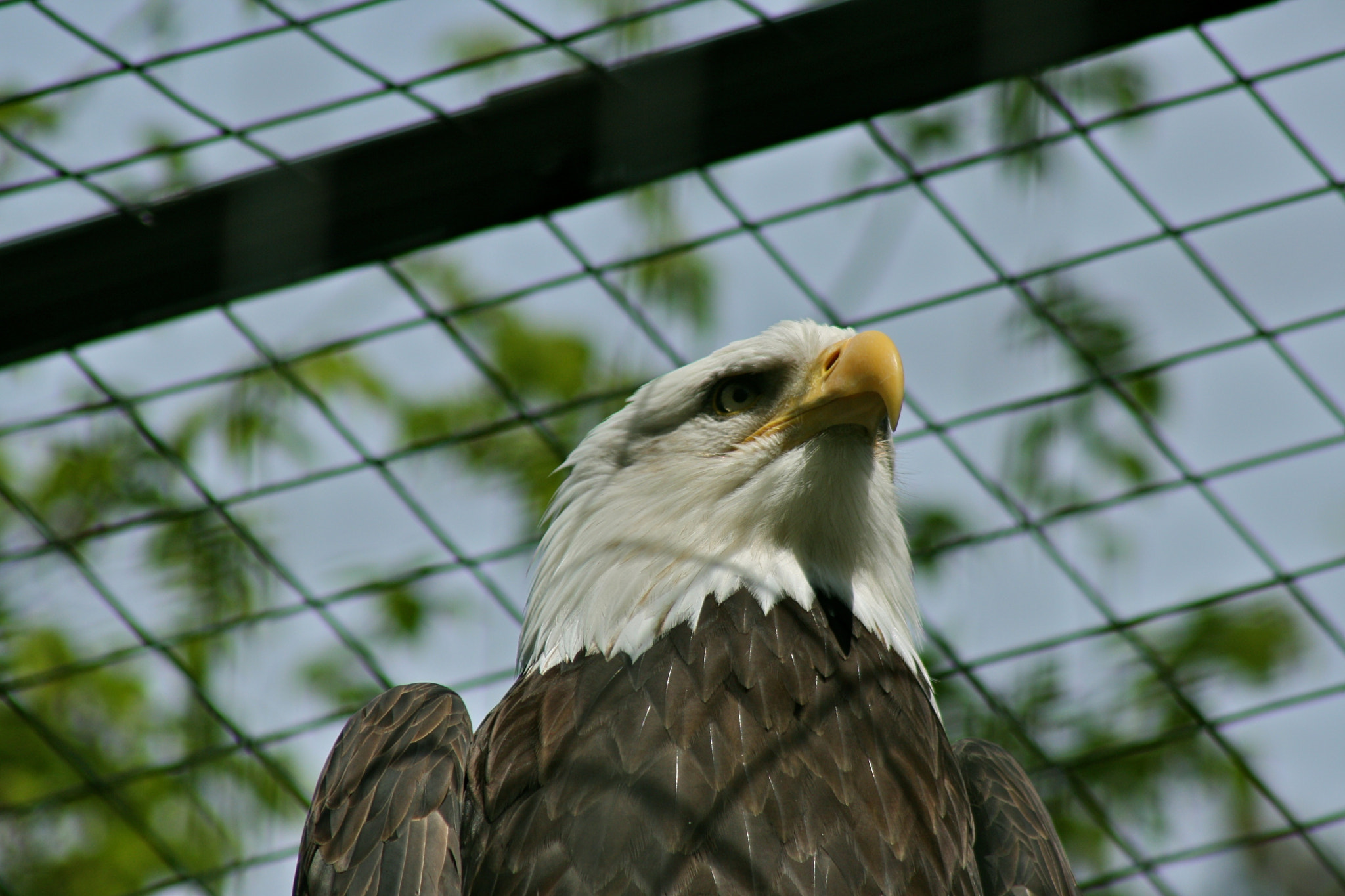 Canon EF 75-300mm f/4-5.6 USM sample photo. Zoologischer garten berlin photography