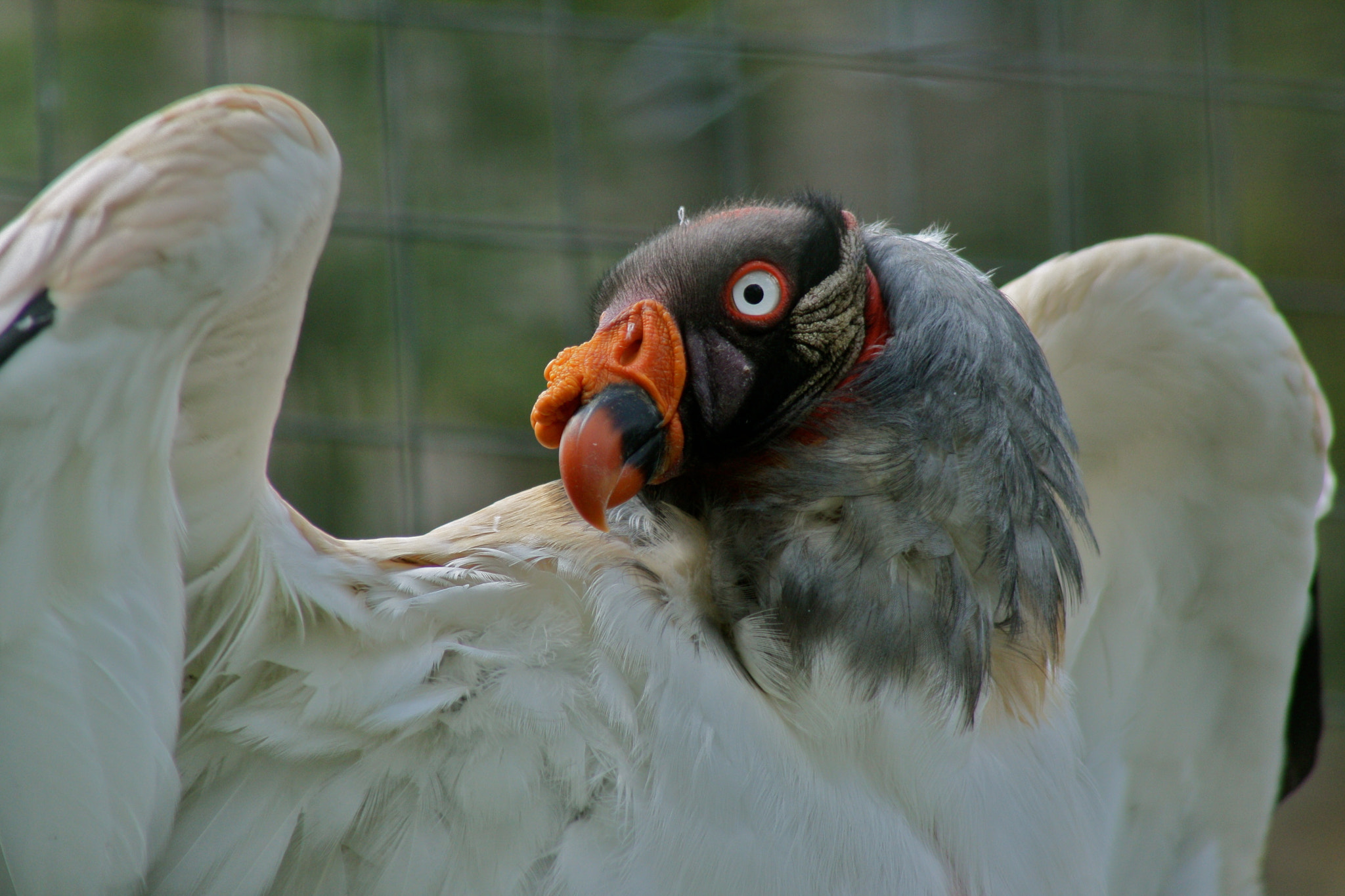Canon EF 75-300mm f/4-5.6 USM sample photo. Zoologischer garten berlin photography