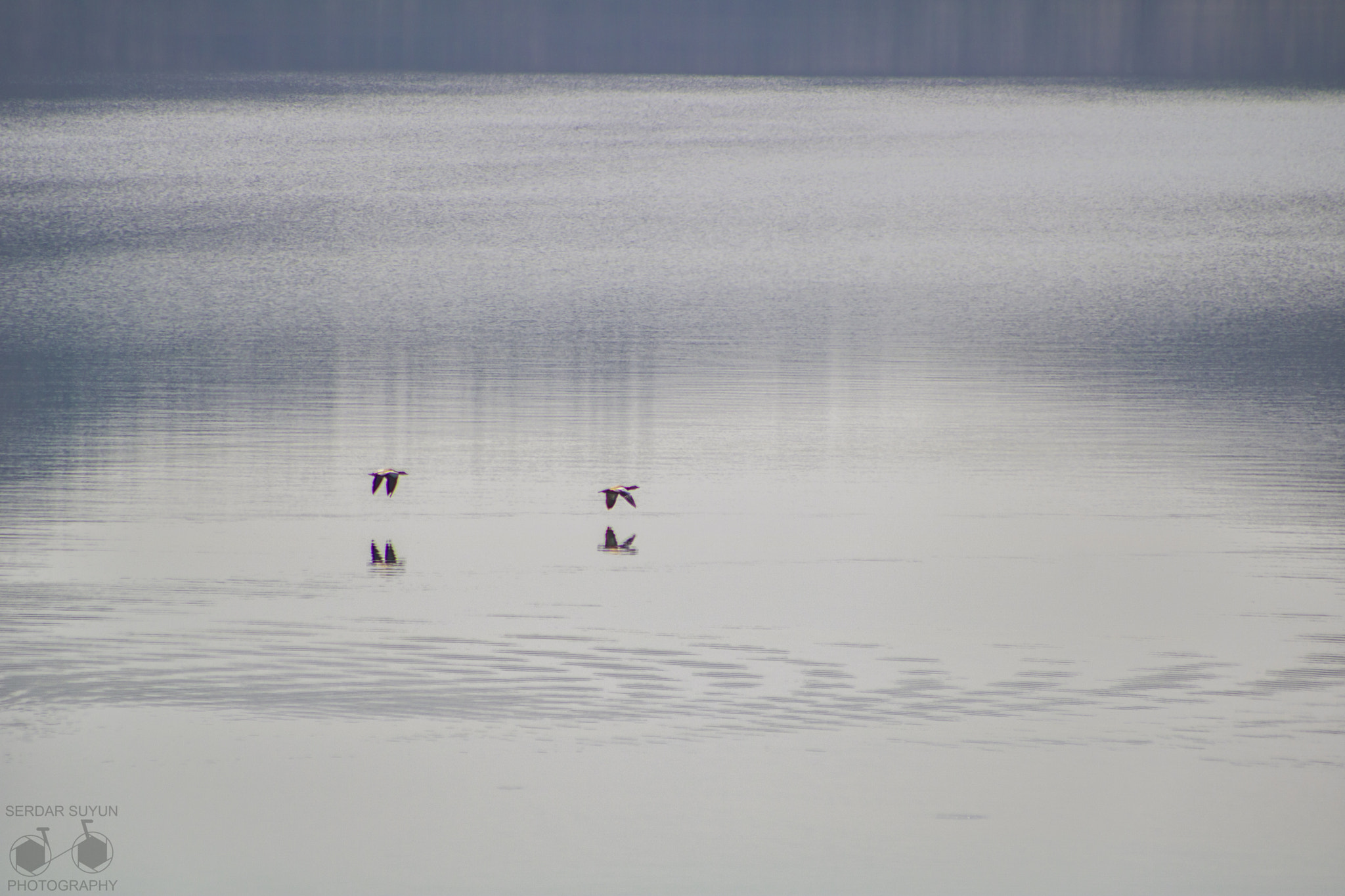 Canon EOS 760D (EOS Rebel T6s / EOS 8000D) sample photo. Salda lake photography