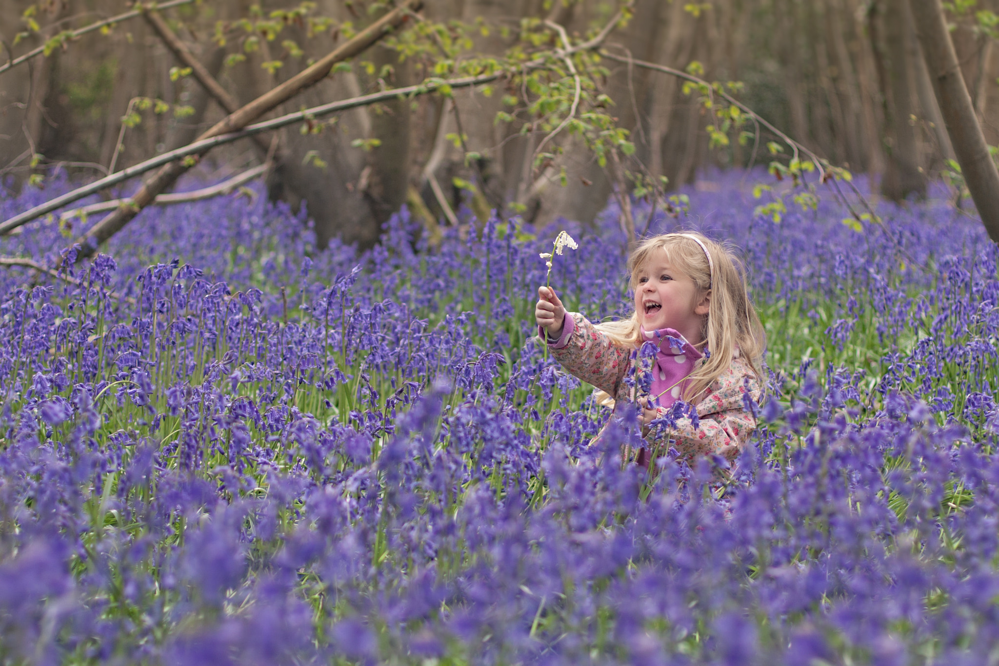 Canon EOS 30D + Canon EF 50mm F1.4 USM sample photo. In the forest a sea of blue photography