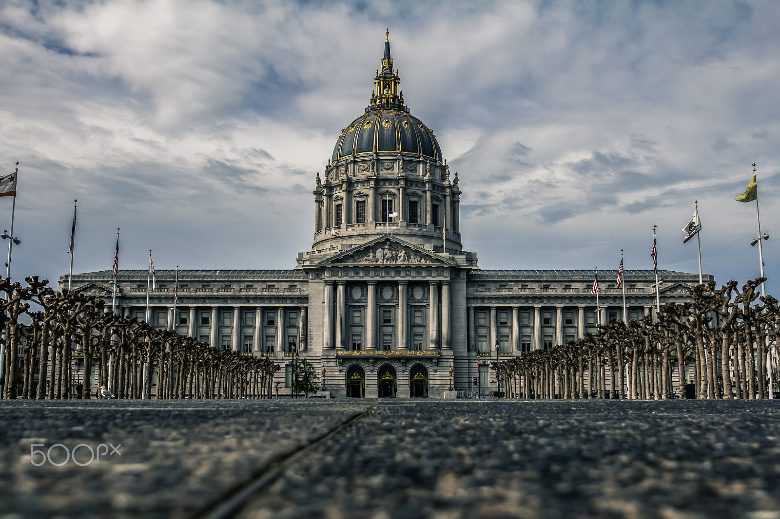 Sigma 24mm F1.4 DG HSM Art sample photo. Sf capital photography