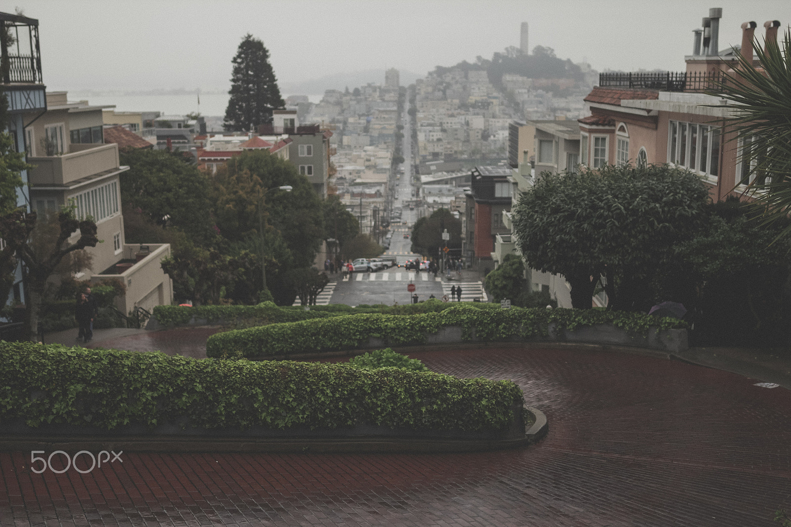 Sigma 24mm F1.4 DG HSM Art sample photo. Lombard st photography