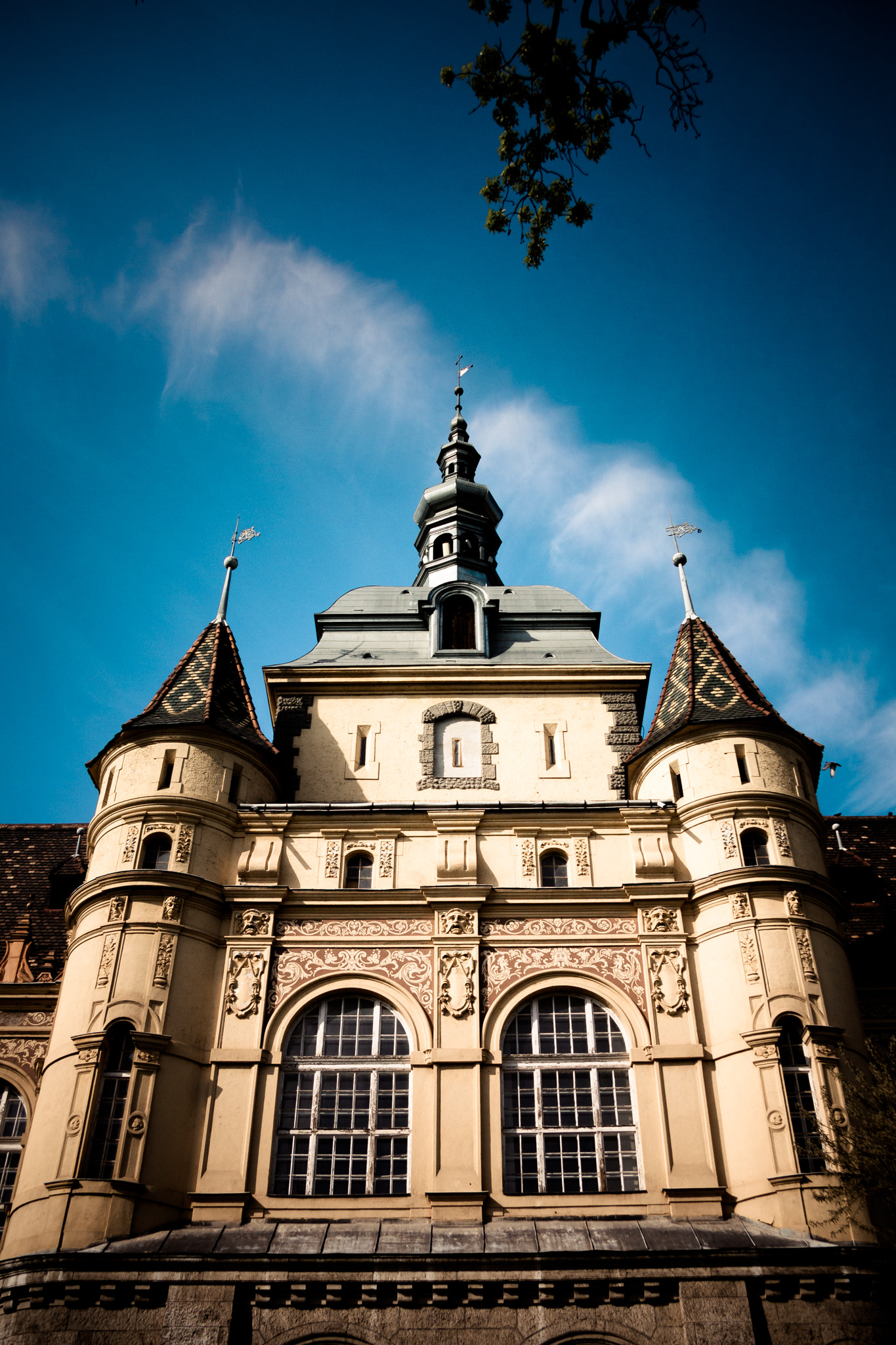 Canon EF-S 17-85mm F4-5.6 IS USM sample photo. Vajdahunyad castle photography