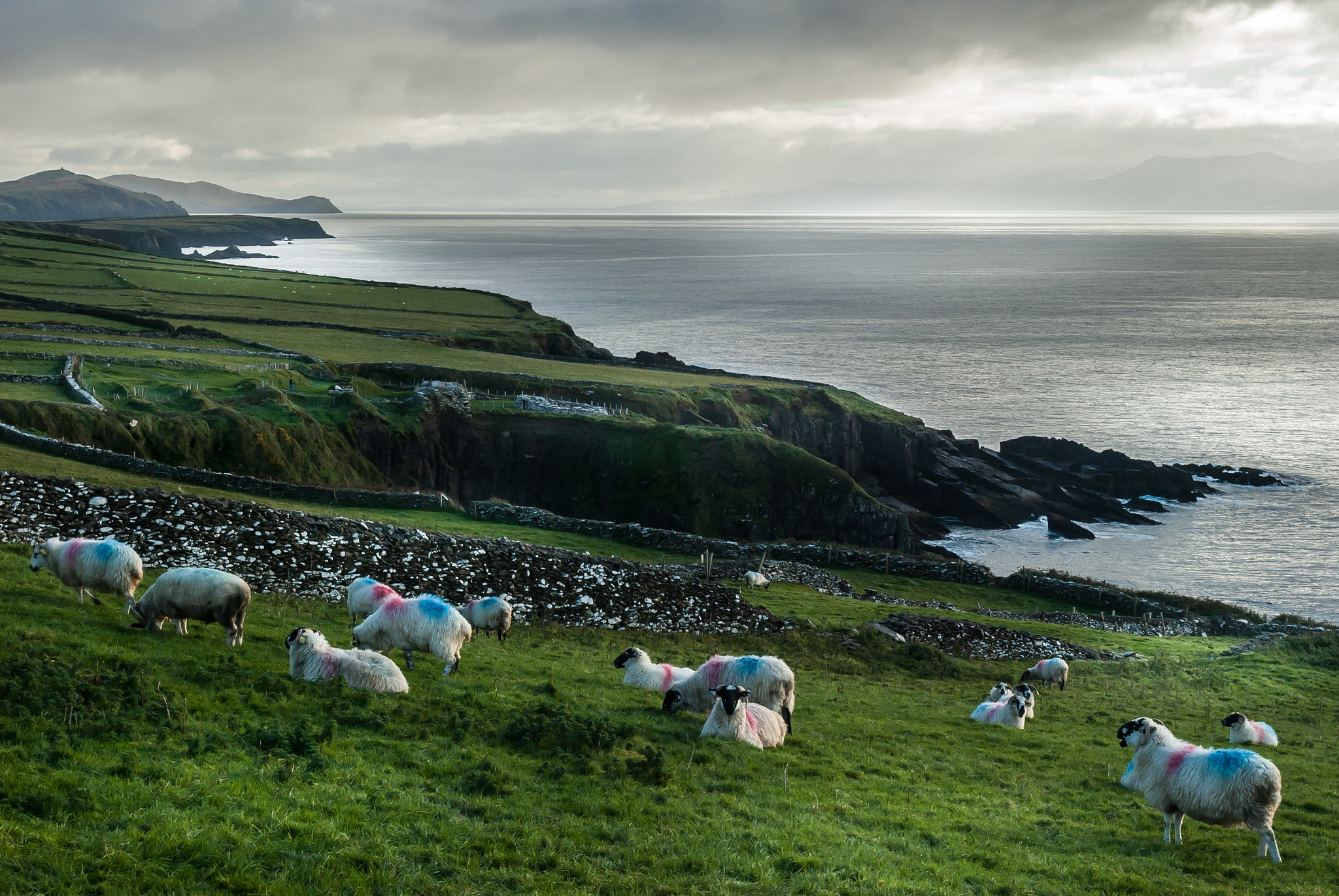 Nikon D80 sample photo. Dingle's seaside photography