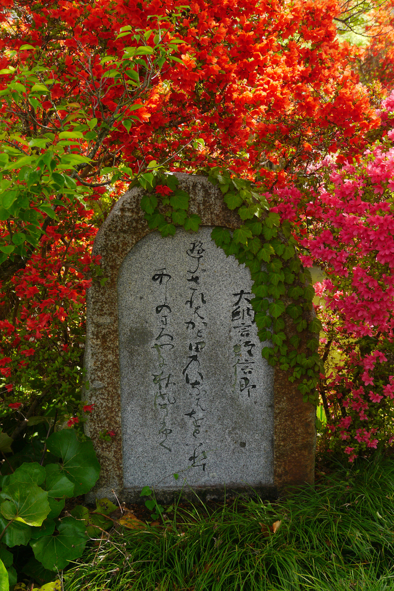Panasonic Lumix DMC-GX1 sample photo. Spring in kyoto photography