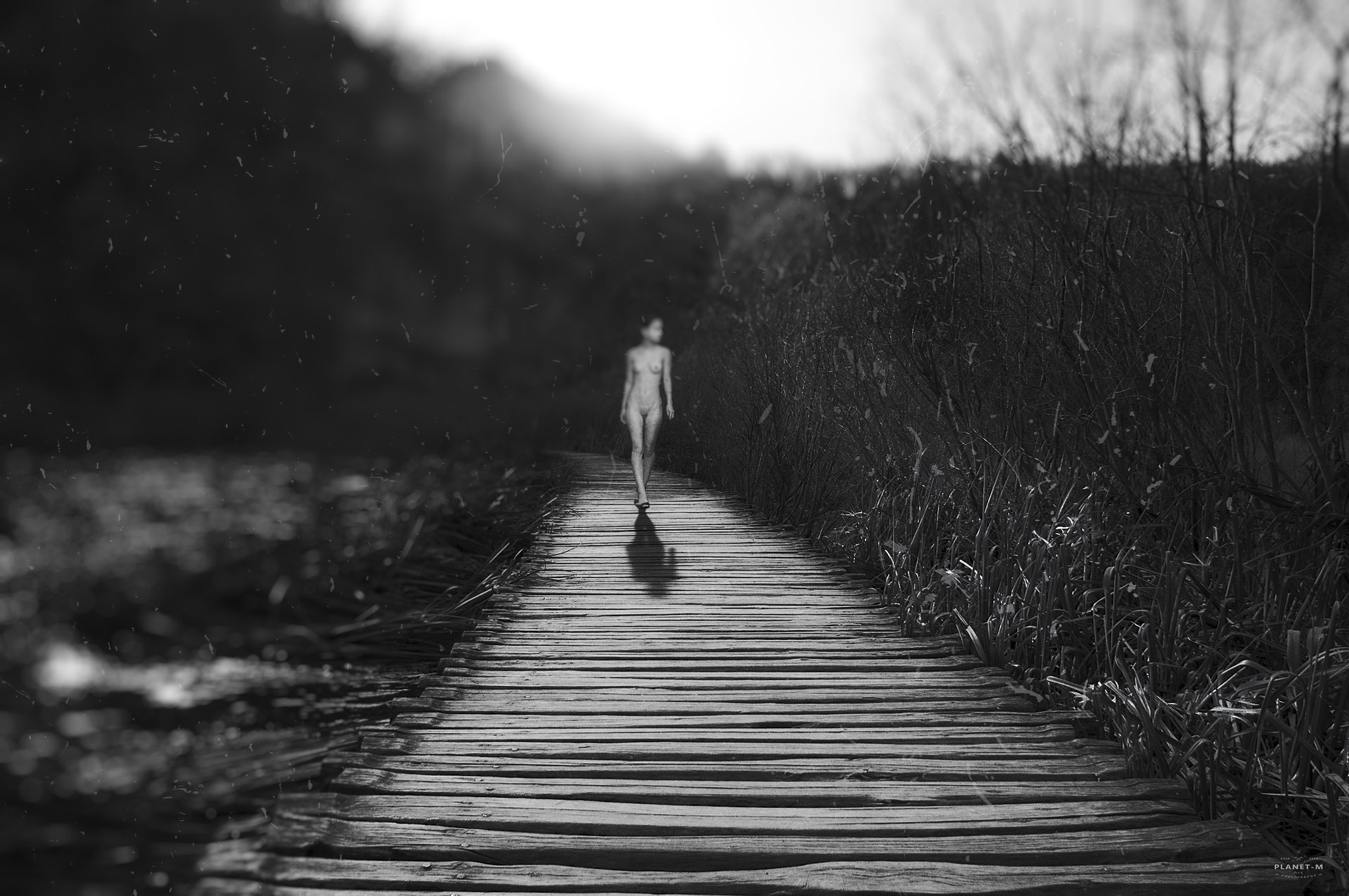 Nikon D300S sample photo. On catwalk 2 photography