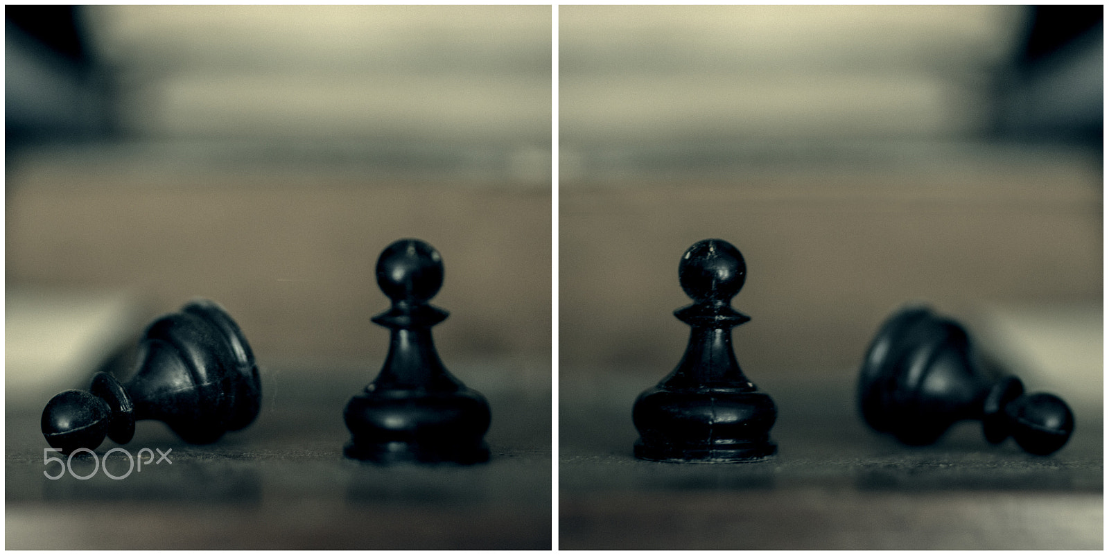 Canon EF 50mm F2.5 Macro sample photo. Chess diptych photography