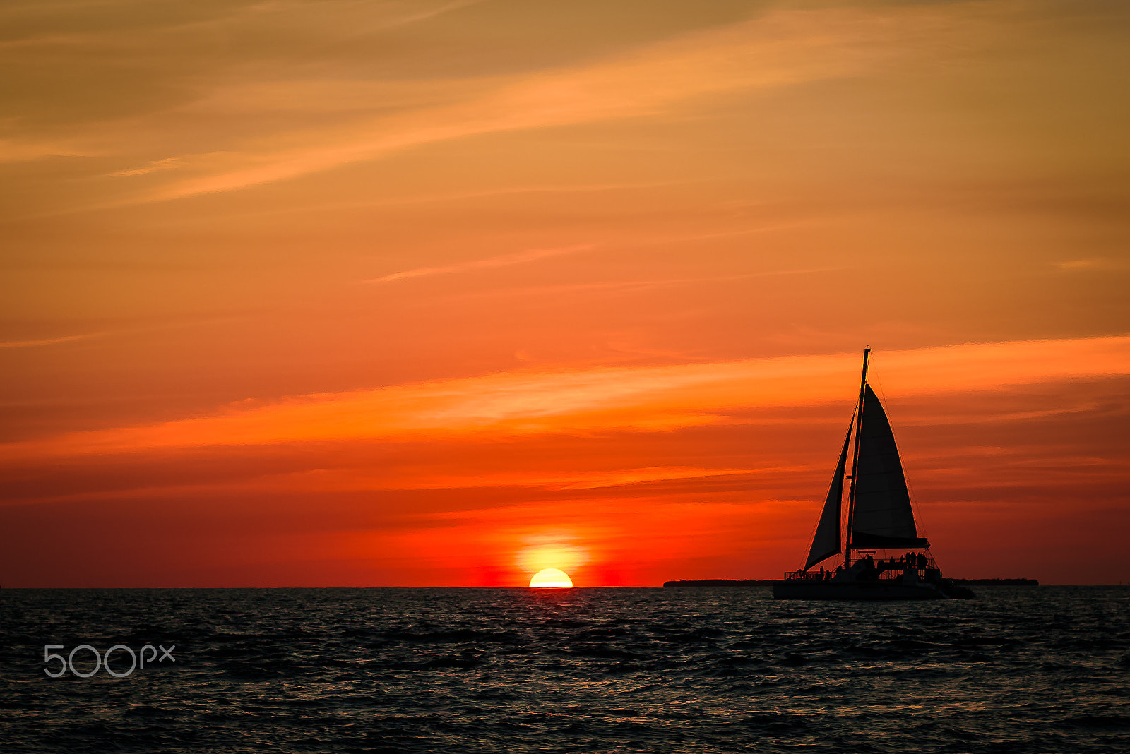 ZEISS Milvus 50mm F1.4 sample photo. Vermilion drift photography