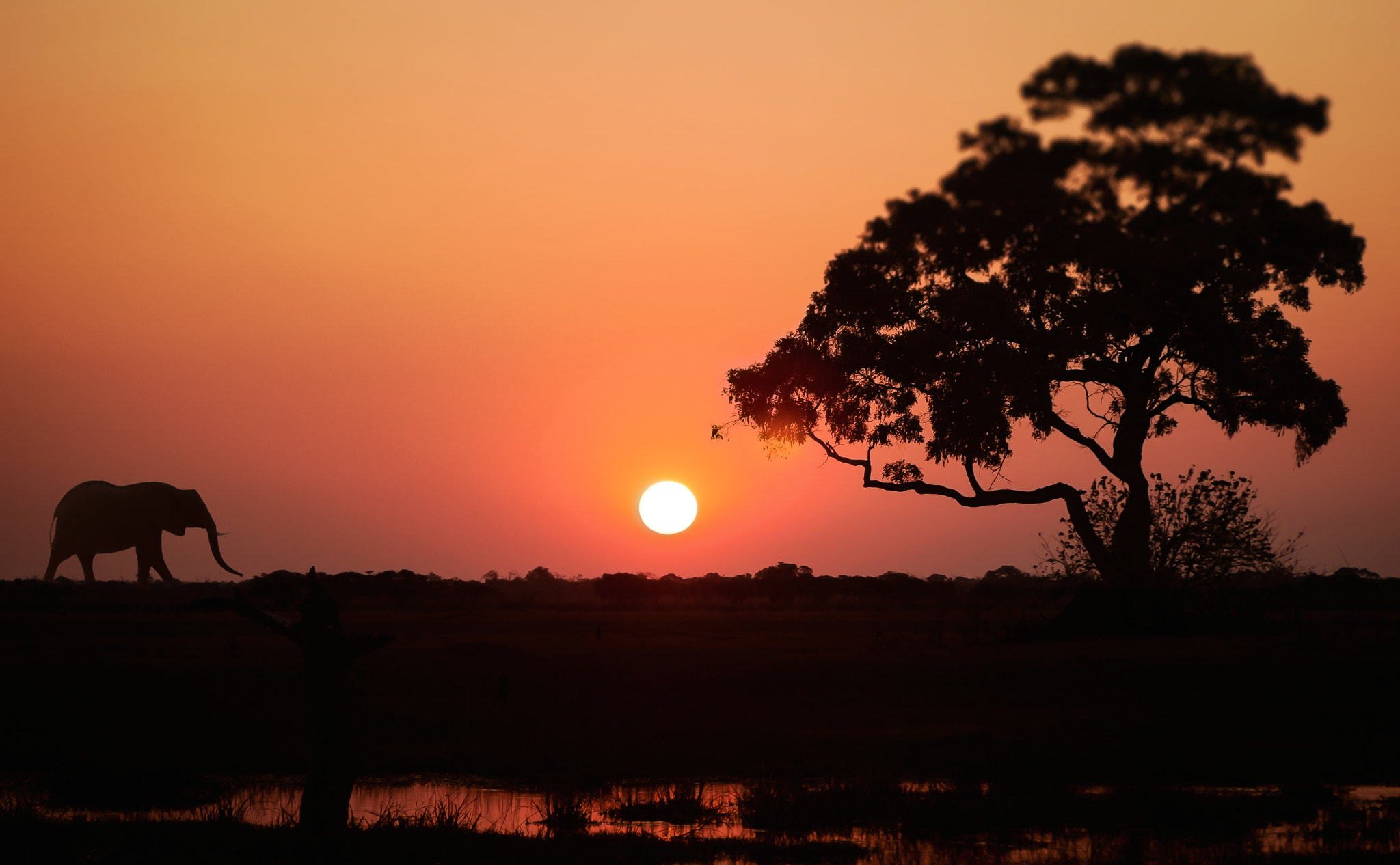 Panasonic Lumix G Vario 45-200mm F4-5.6 OIS sample photo. Tranquility photography