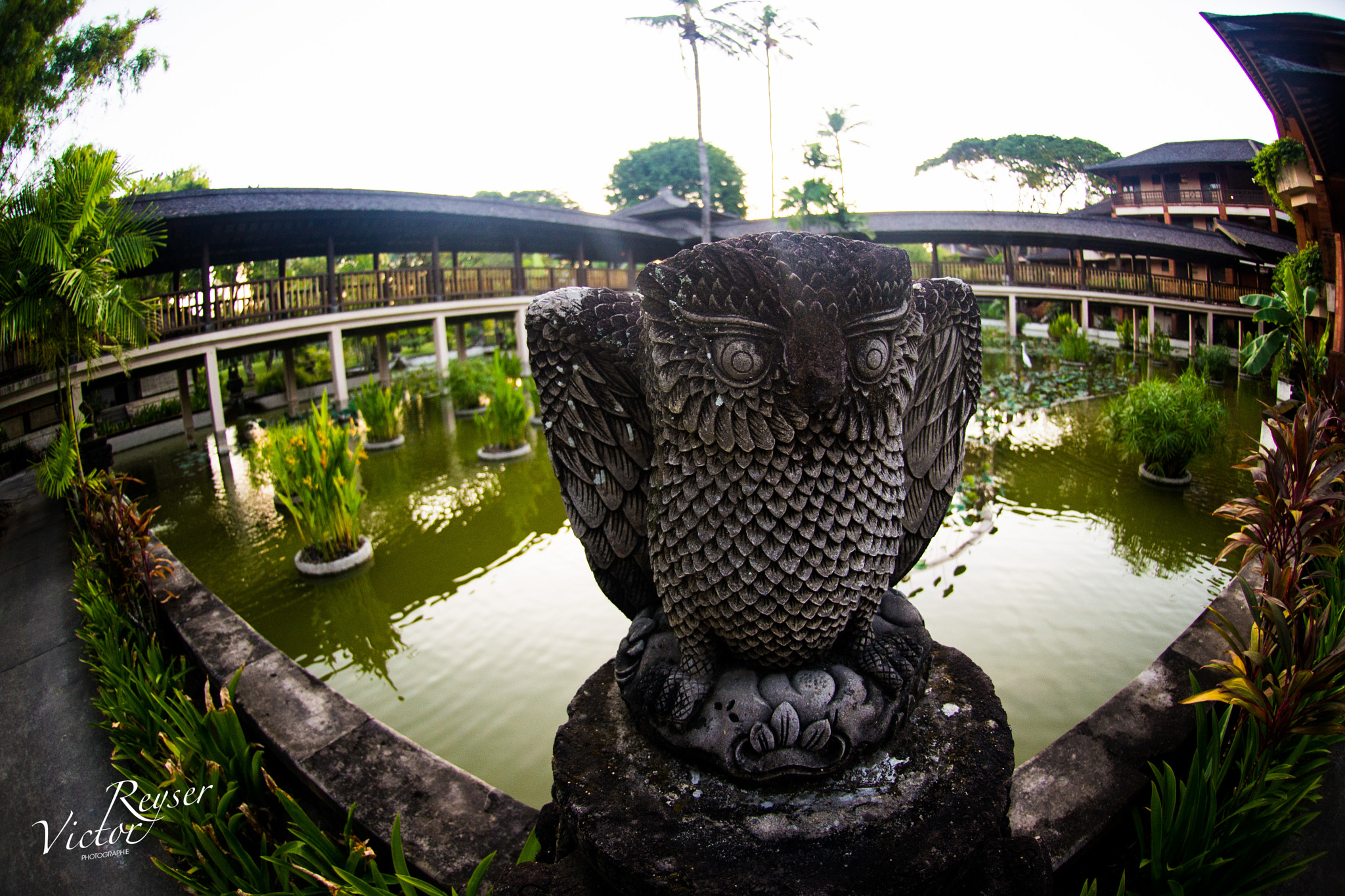 Nikon AF DX Fisheye-Nikkor 10.5mm F2.8G ED sample photo. B a l i // i n d o n e s i a photography