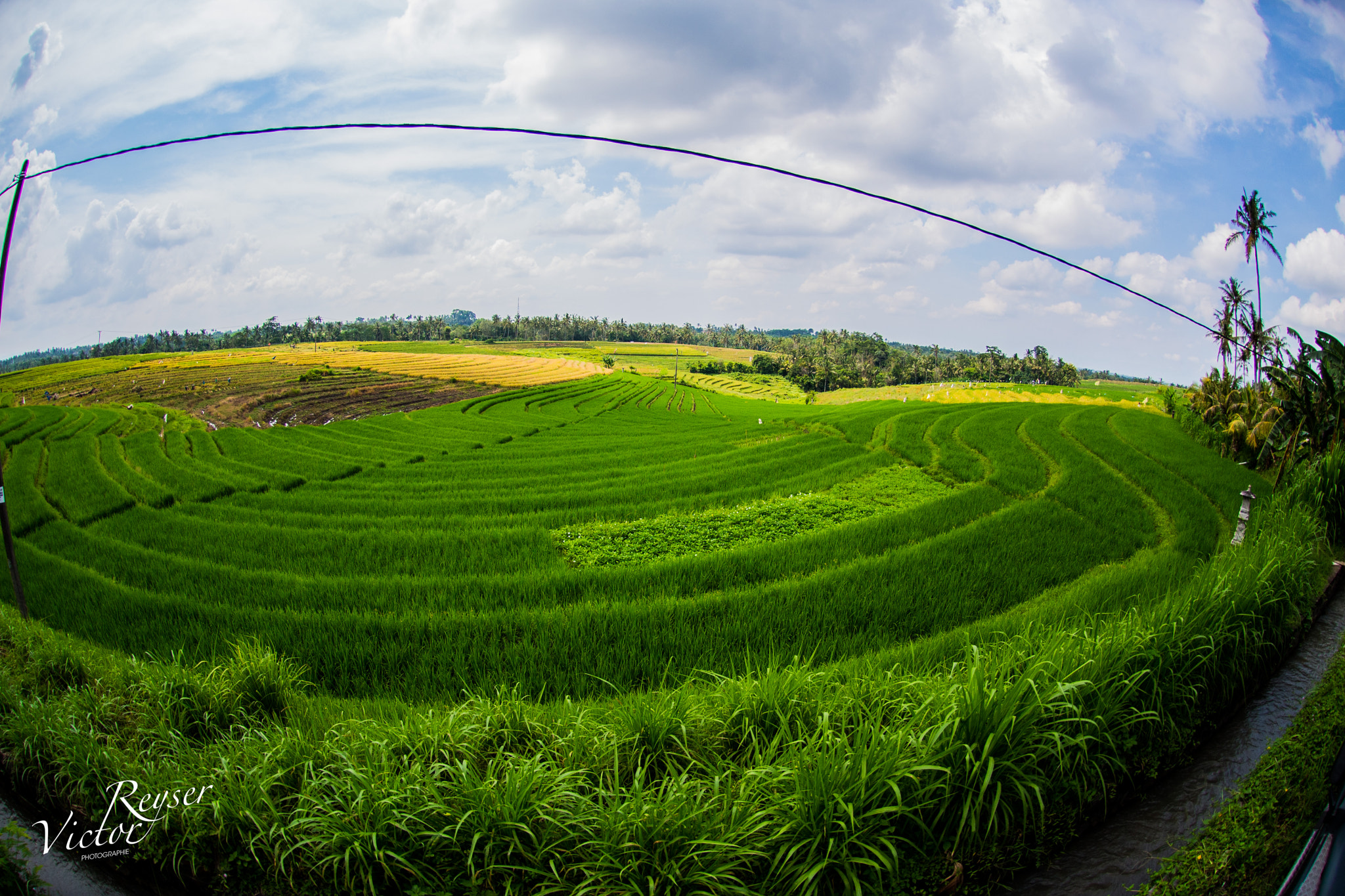 Nikon AF DX Fisheye-Nikkor 10.5mm F2.8G ED sample photo. B a l i // i n d o n e s i a photography