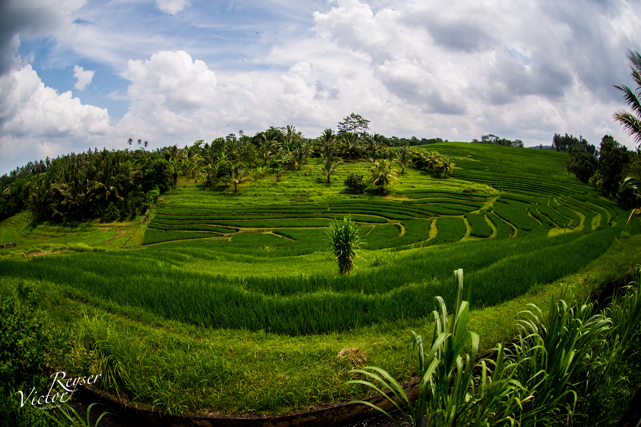 Nikon AF DX Fisheye-Nikkor 10.5mm F2.8G ED sample photo. B a l i // i n d o n e s i a photography