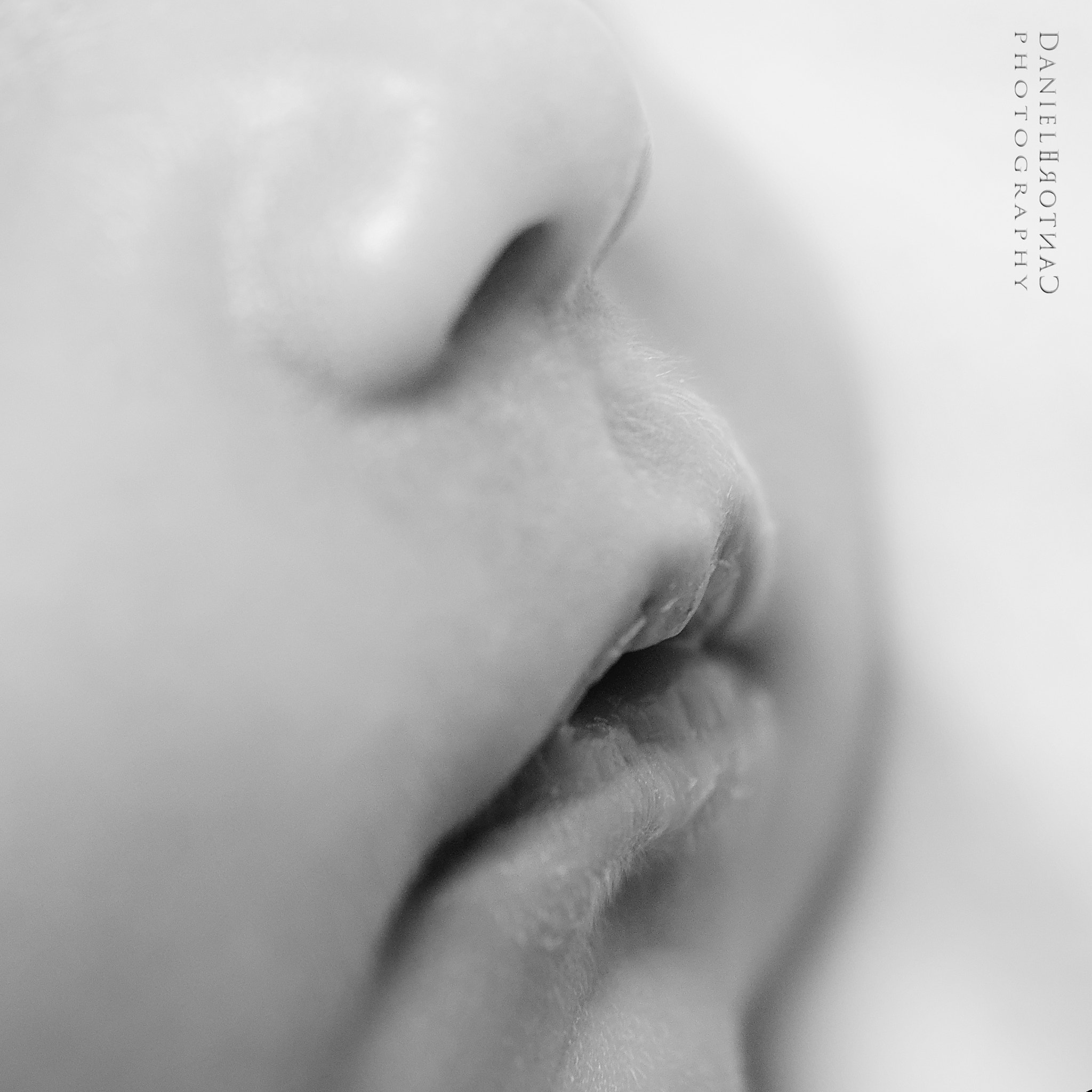 Nikon AF Nikkor 24-85mm F2.8-4D IF sample photo. Wordless mouth photography