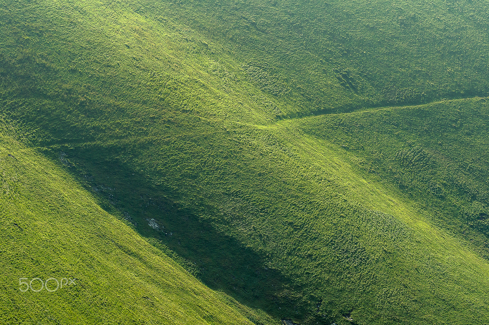 Tamron AF 70-300mm F4-5.6 Di LD Macro sample photo. Mountain velvet.....mala fatra photography
