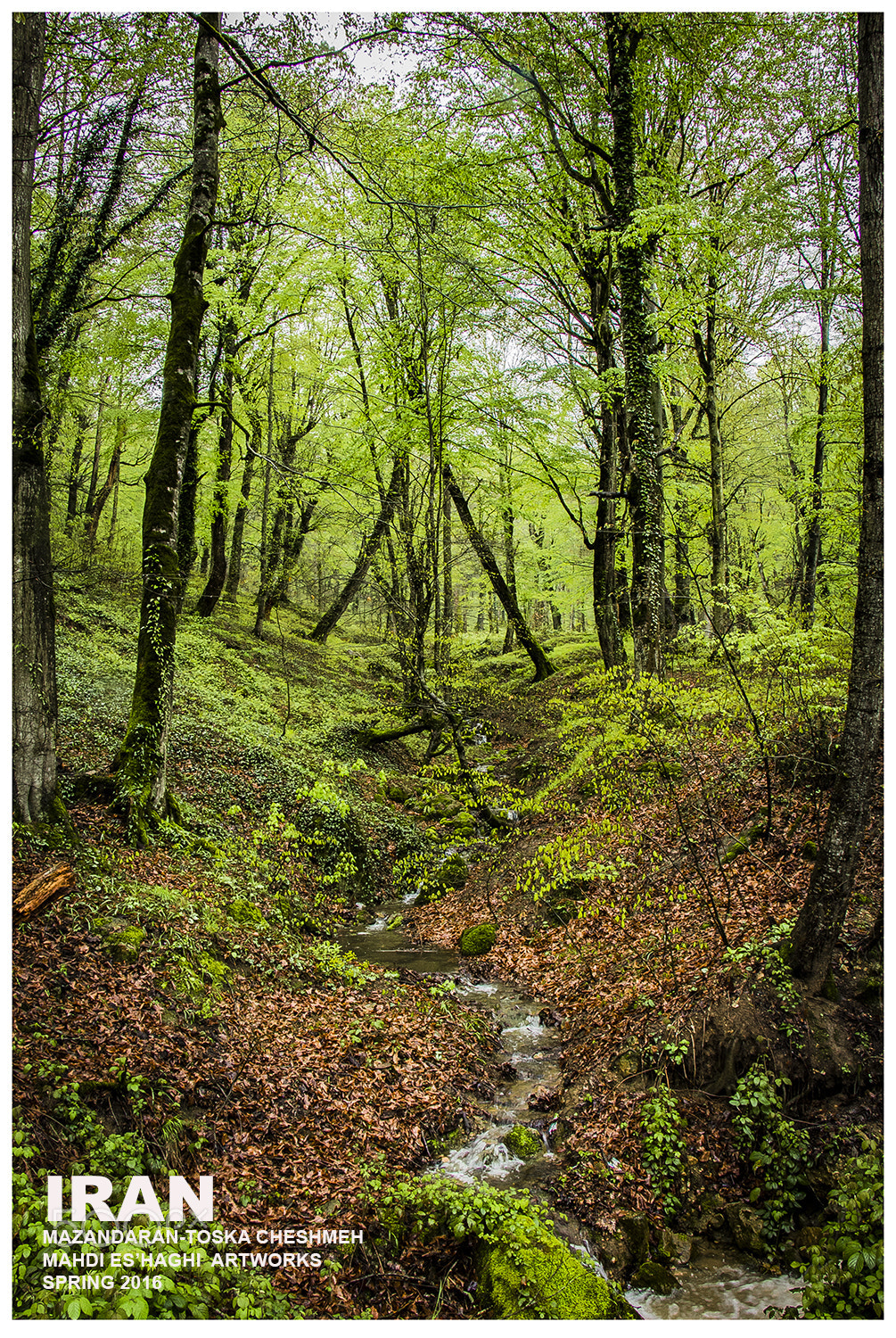 Canon EF-S 18-135mm F3.5-5.6 IS STM sample photo. Iran.mazandaran-toska cheshmeh photography