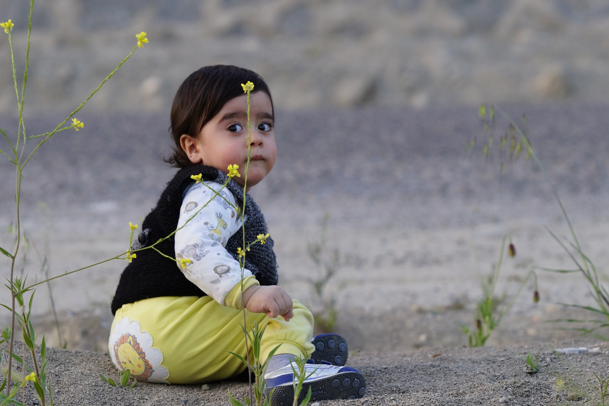Sony 70-200mm F2.8 G SSM II sample photo
