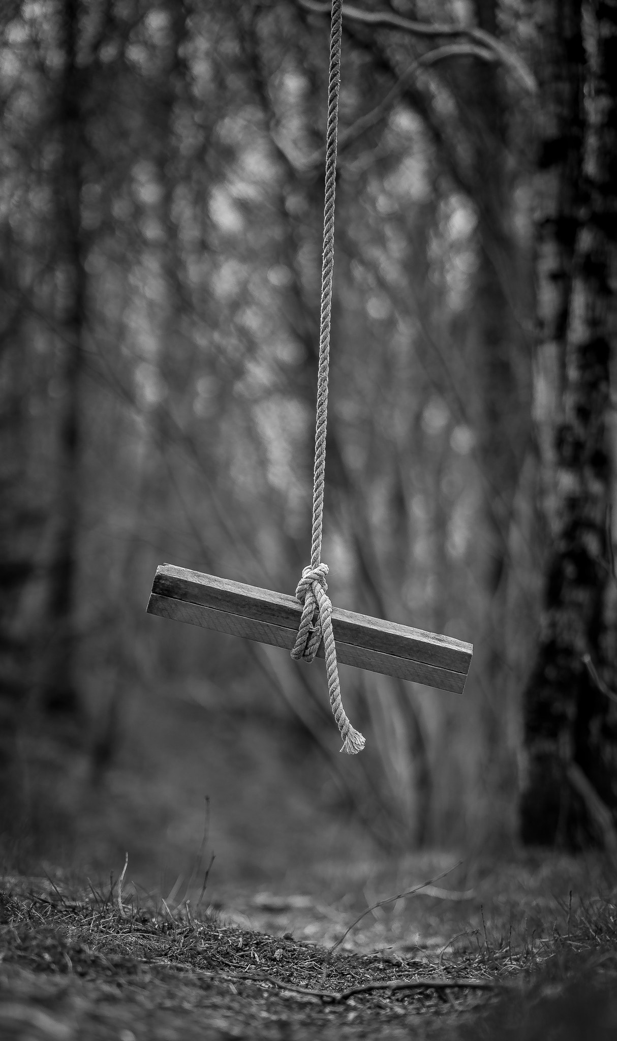 ZEISS Batis 85mm F1.8 sample photo. Swing in the woods photography