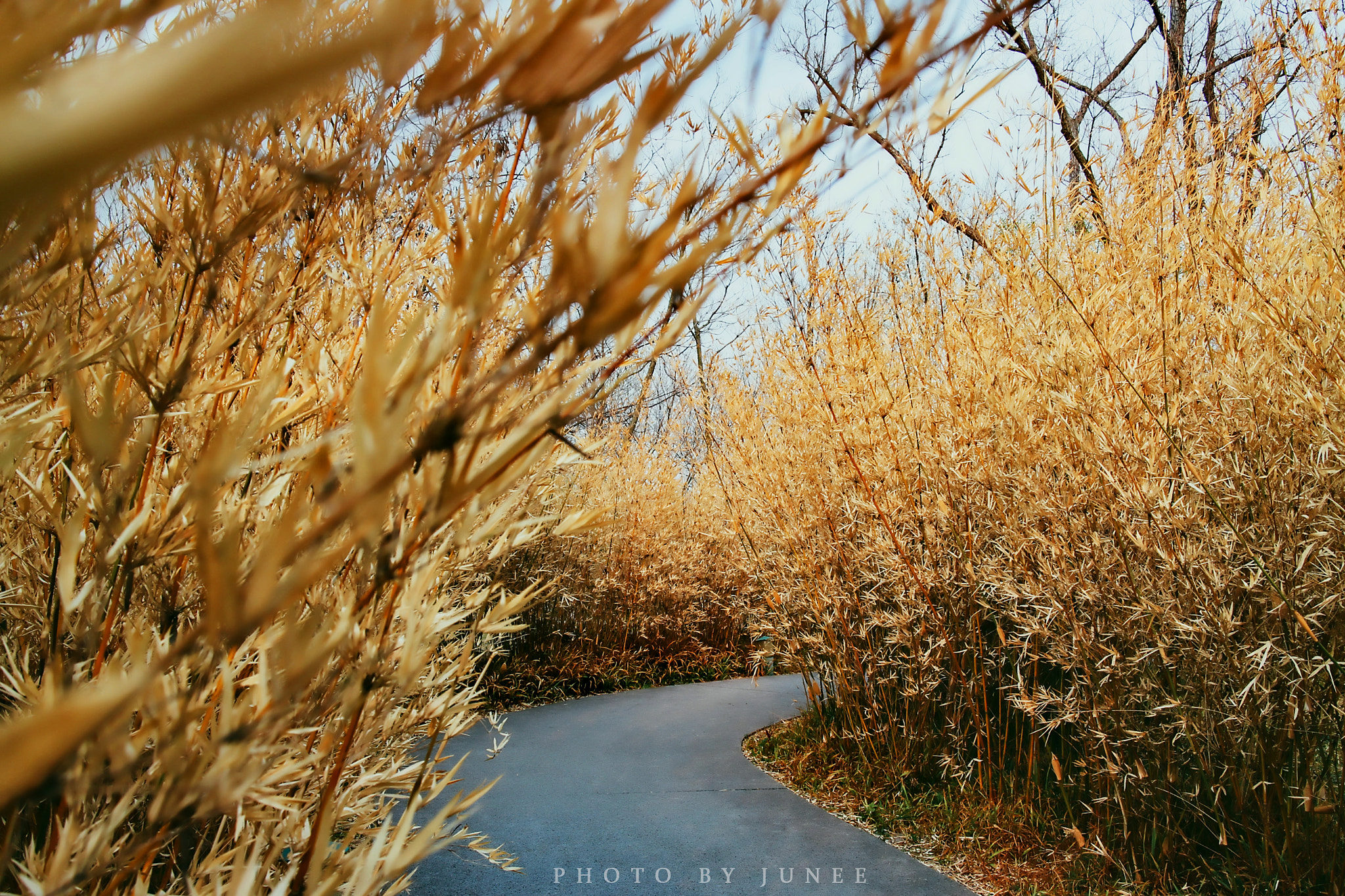 Canon EOS M2 + Canon EF-M 22mm F2 STM sample photo. Dh photography