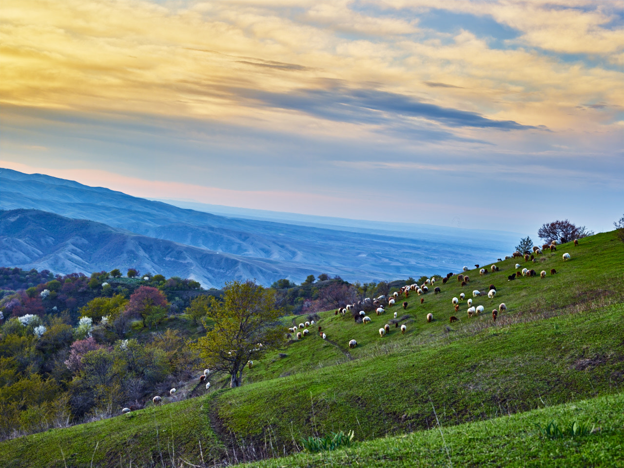 Schneider LS 80mm f/2.8 sample photo. Hyperfocal: 0 photography