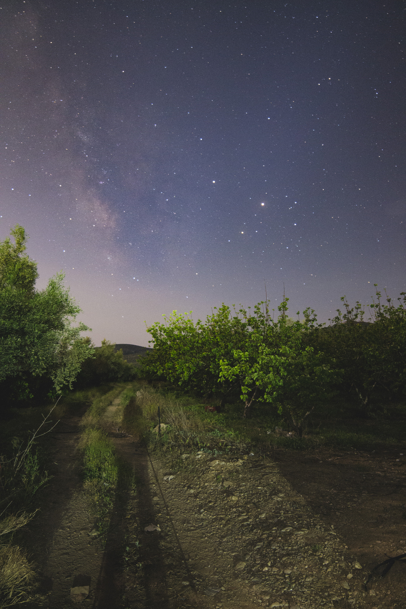Samyang 14mm F2.8 ED AS IF UMC sample photo. Dsc_6929.jpg photography