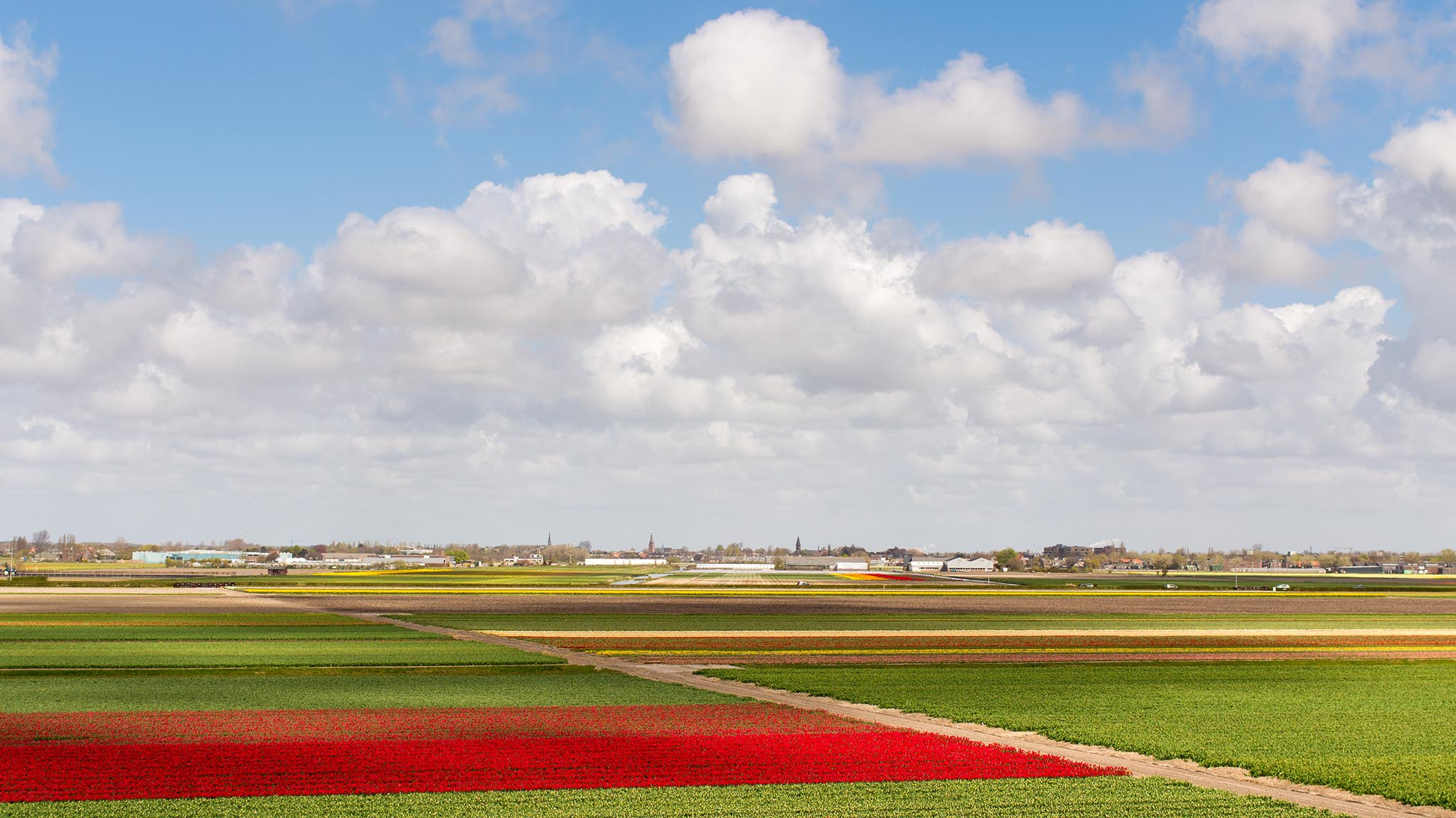 Pentax K-5 IIs sample photo. Dutch field photography