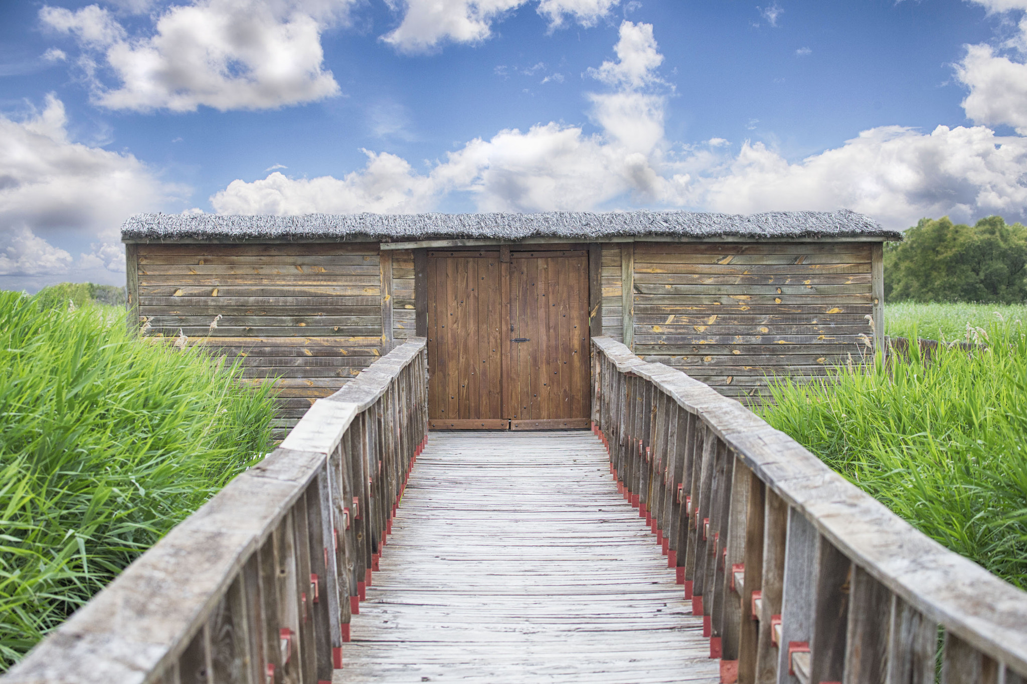 Canon EF 100-400mm F4.5-5.6L IS USM sample photo. Daimiel, ciudad real, spain, wooden bridge and old wooden house photography