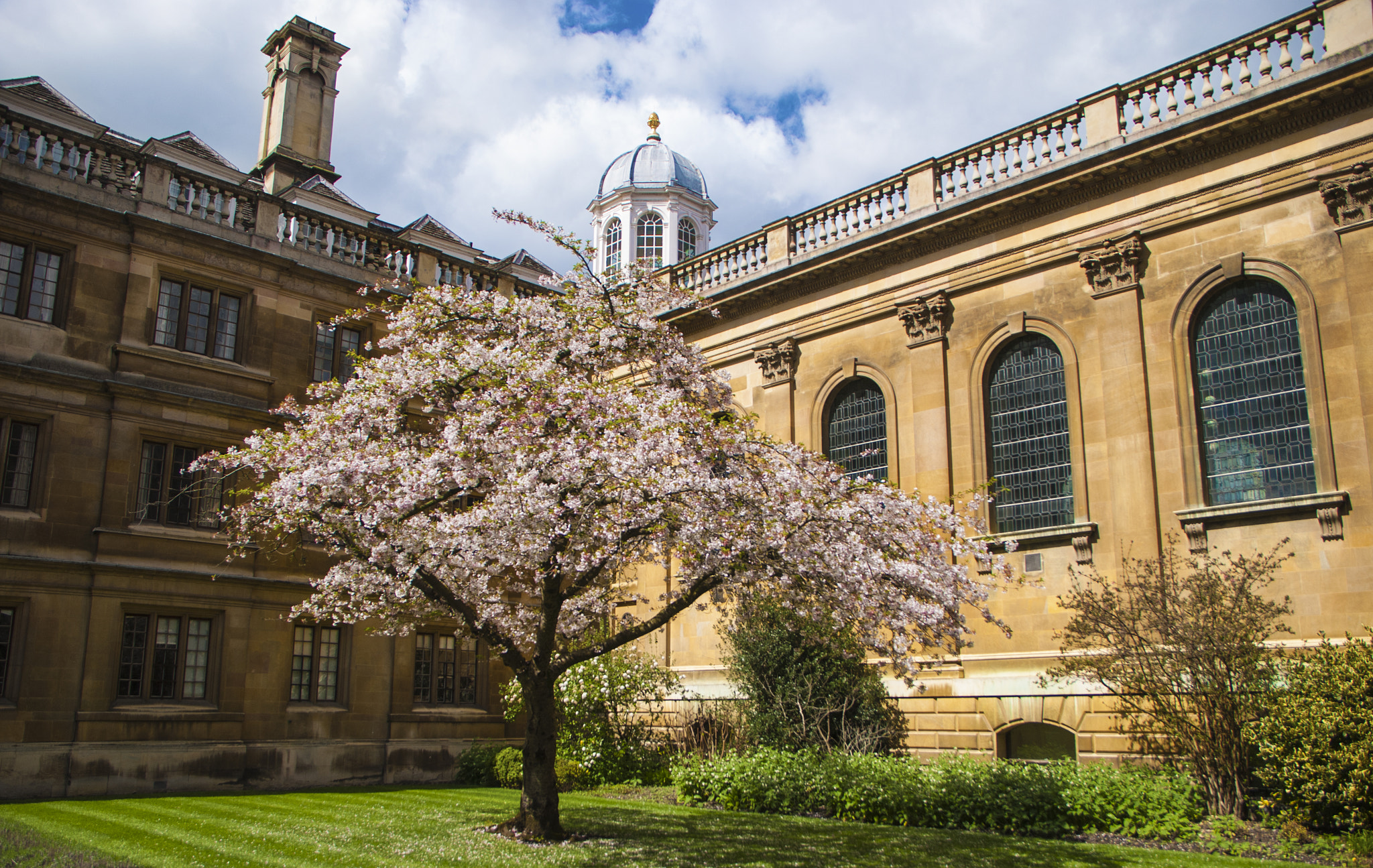 Nikon D80 + Sigma 18-125mm F3.8-5.6 DC OS HSM sample photo. Cambridge photography