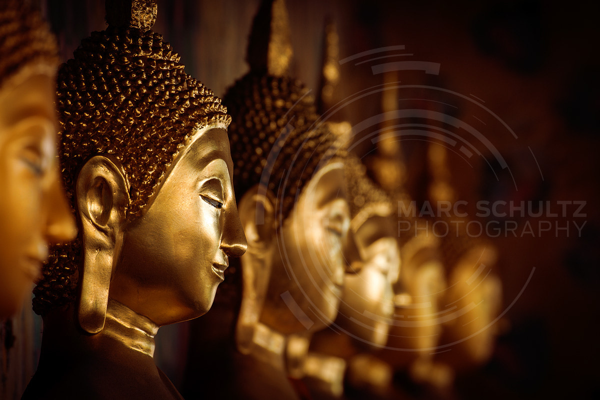 100-400mm F4.5-5.6 G SSM OSS sample photo. Buddhism photography