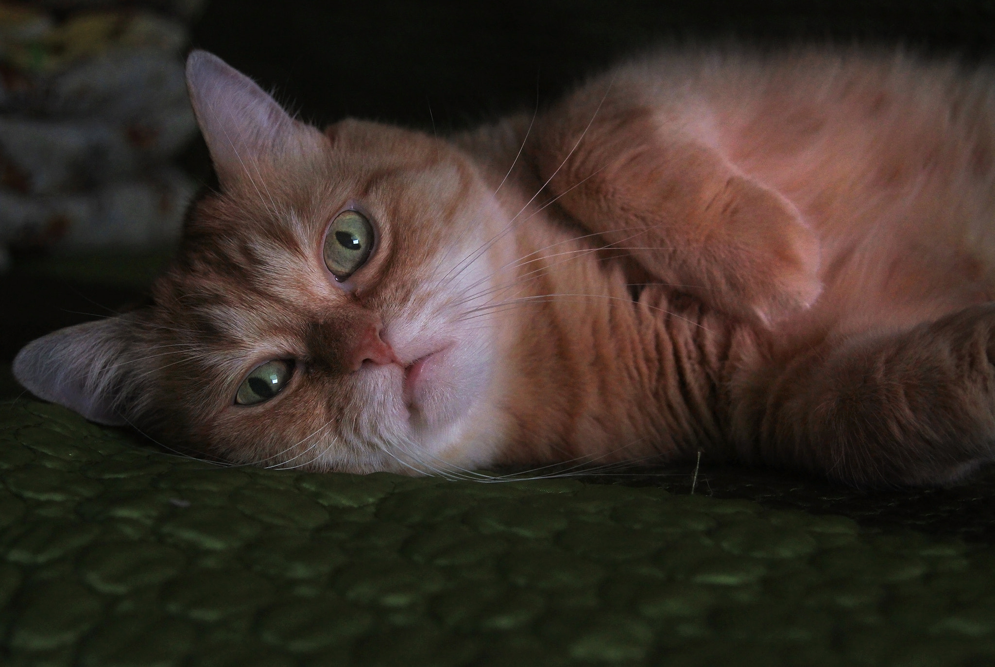 Canon EF 24-85mm F3.5-4.5 USM sample photo. Poser photography